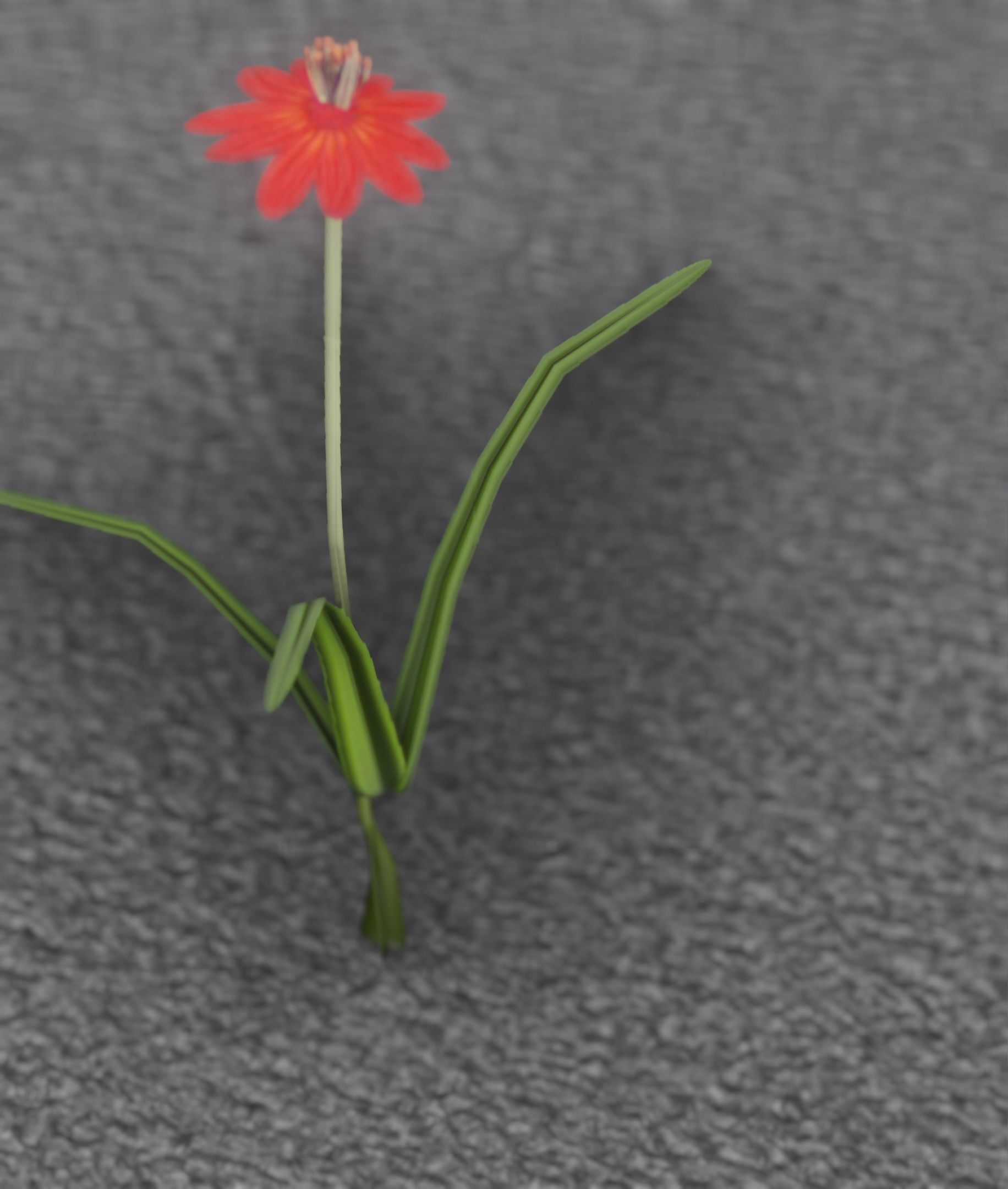 Red Flower - Verion 6 - Object 29 Low-poly 3D model_43