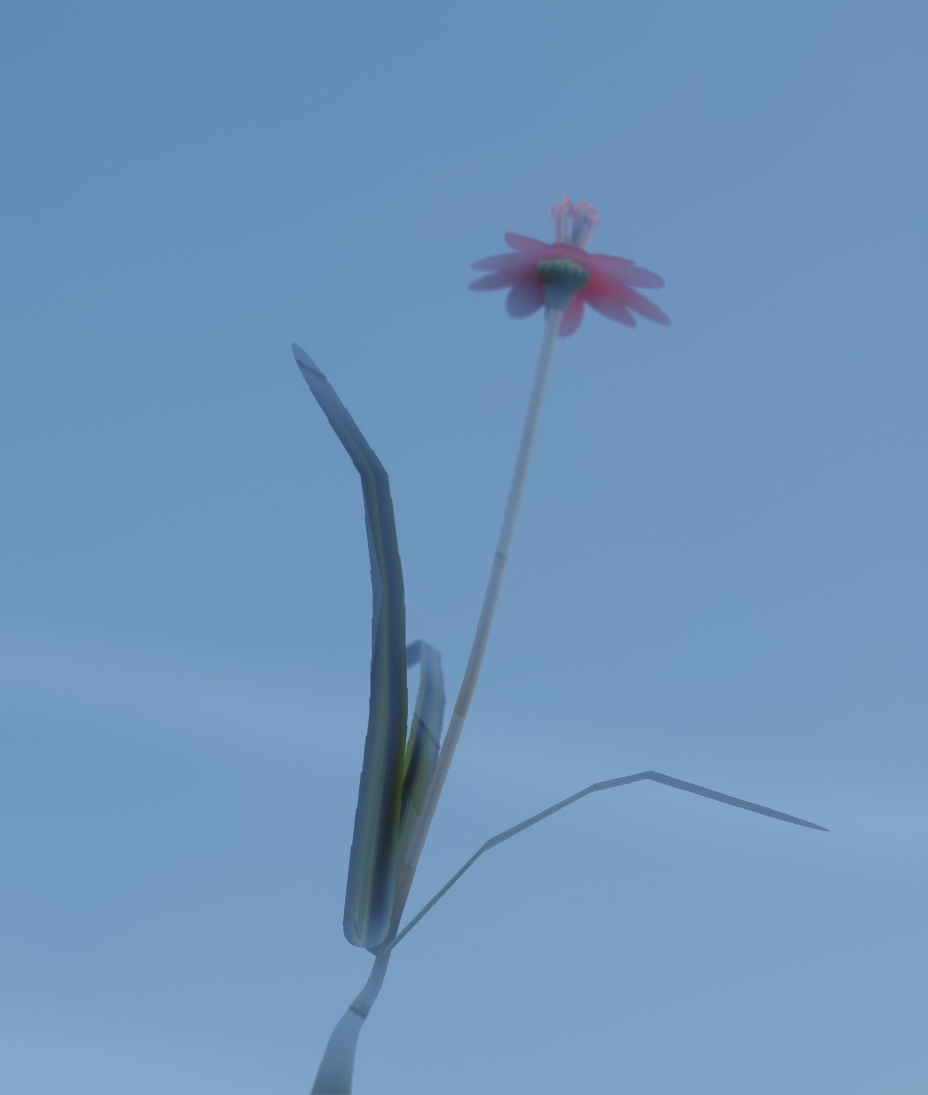 Red Flower - Verion 6 - Object 29 Low-poly 3D model_33