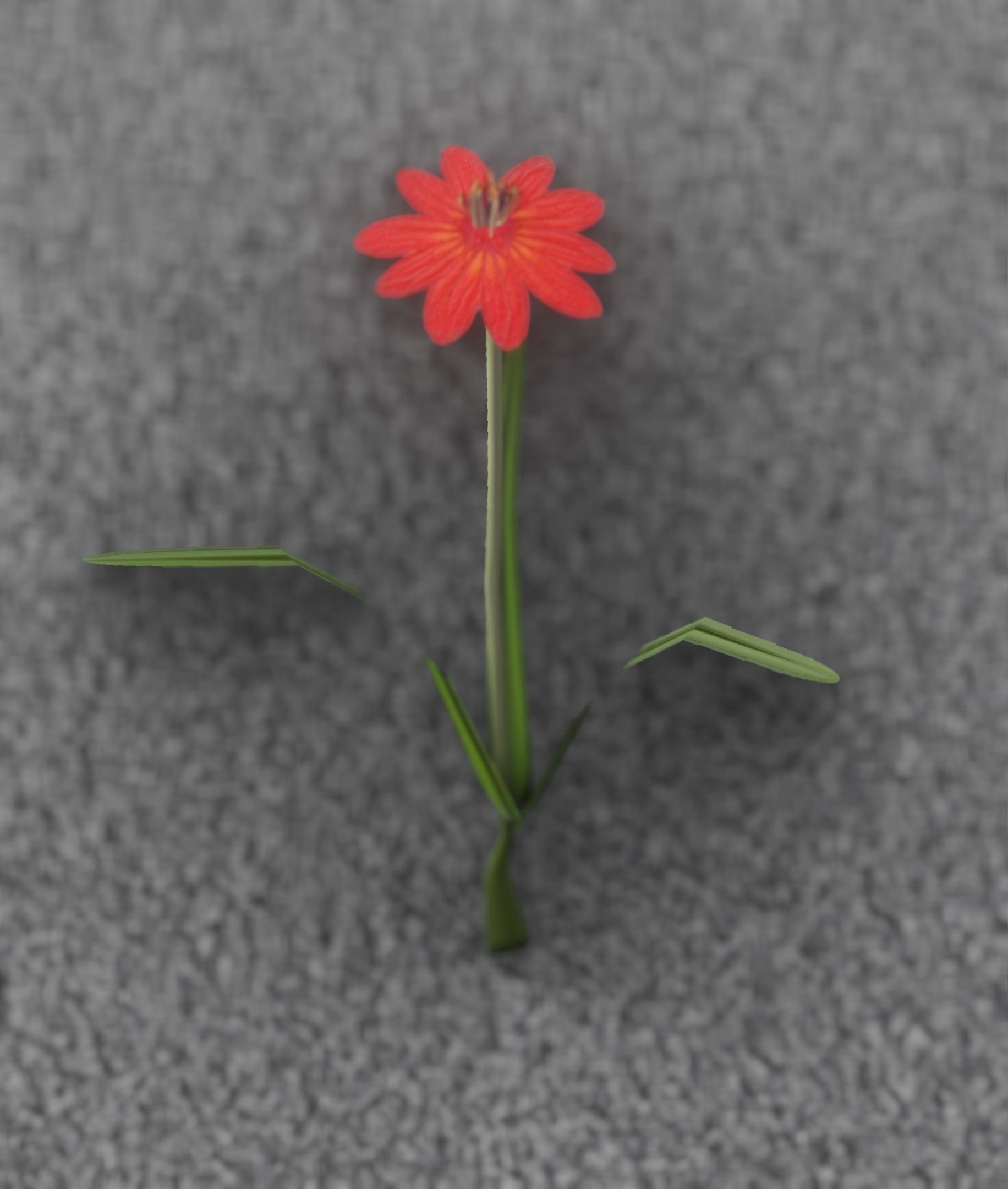 Red Flower - Verion 6 - Object 29 Low-poly 3D model_4