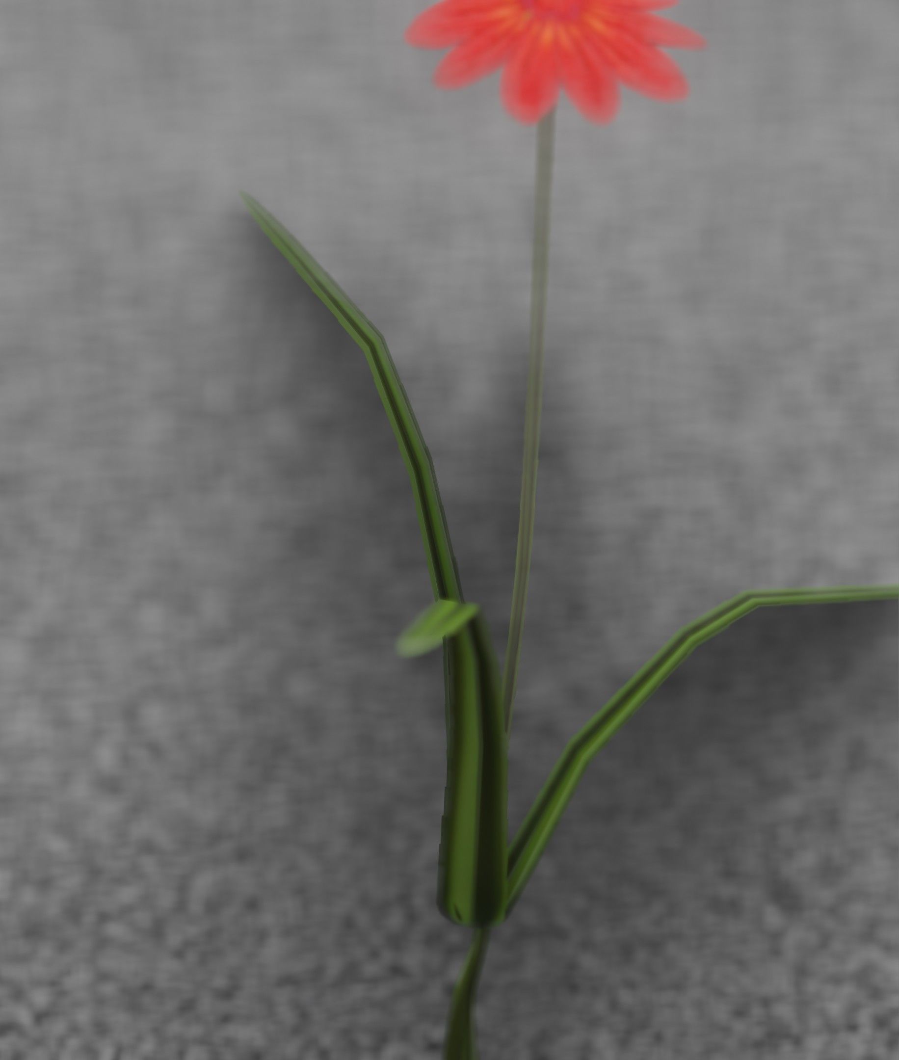 Red Flower - Verion 6 - Object 29 Low-poly 3D model_49