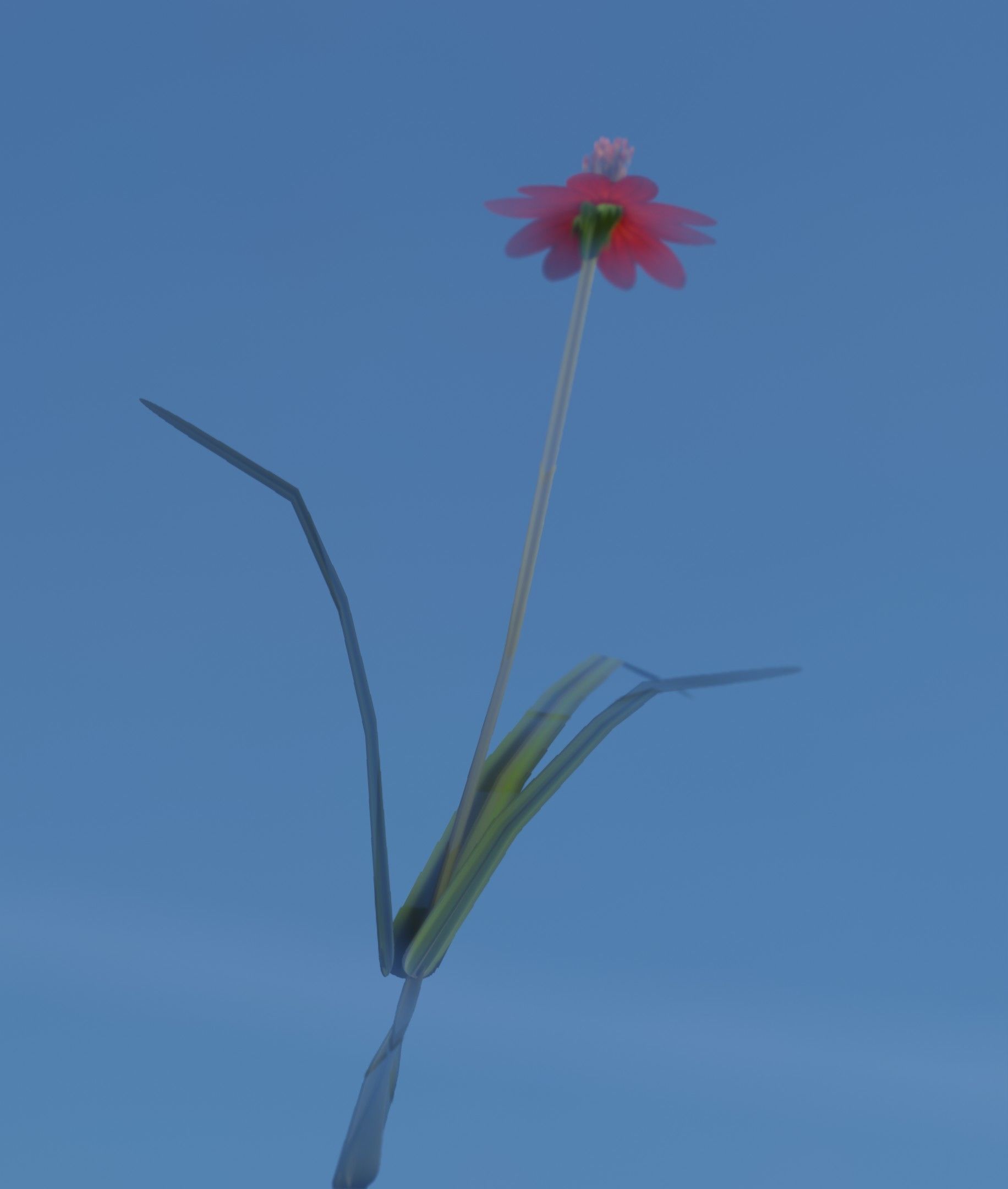 Red Flower - Verion 6 - Object 29 Low-poly 3D model_35