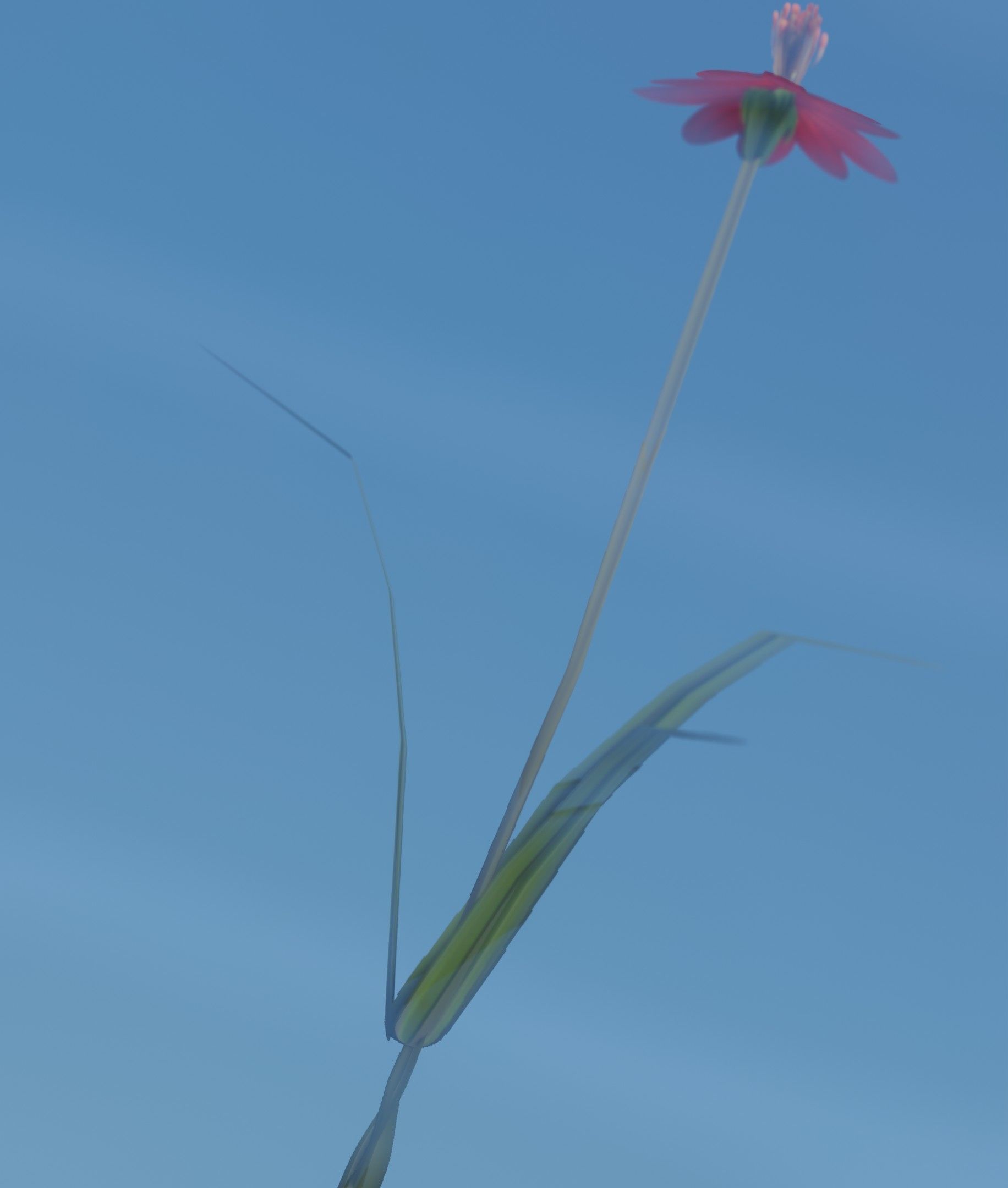 Red Flower - Verion 6 - Object 29 Low-poly 3D model_9