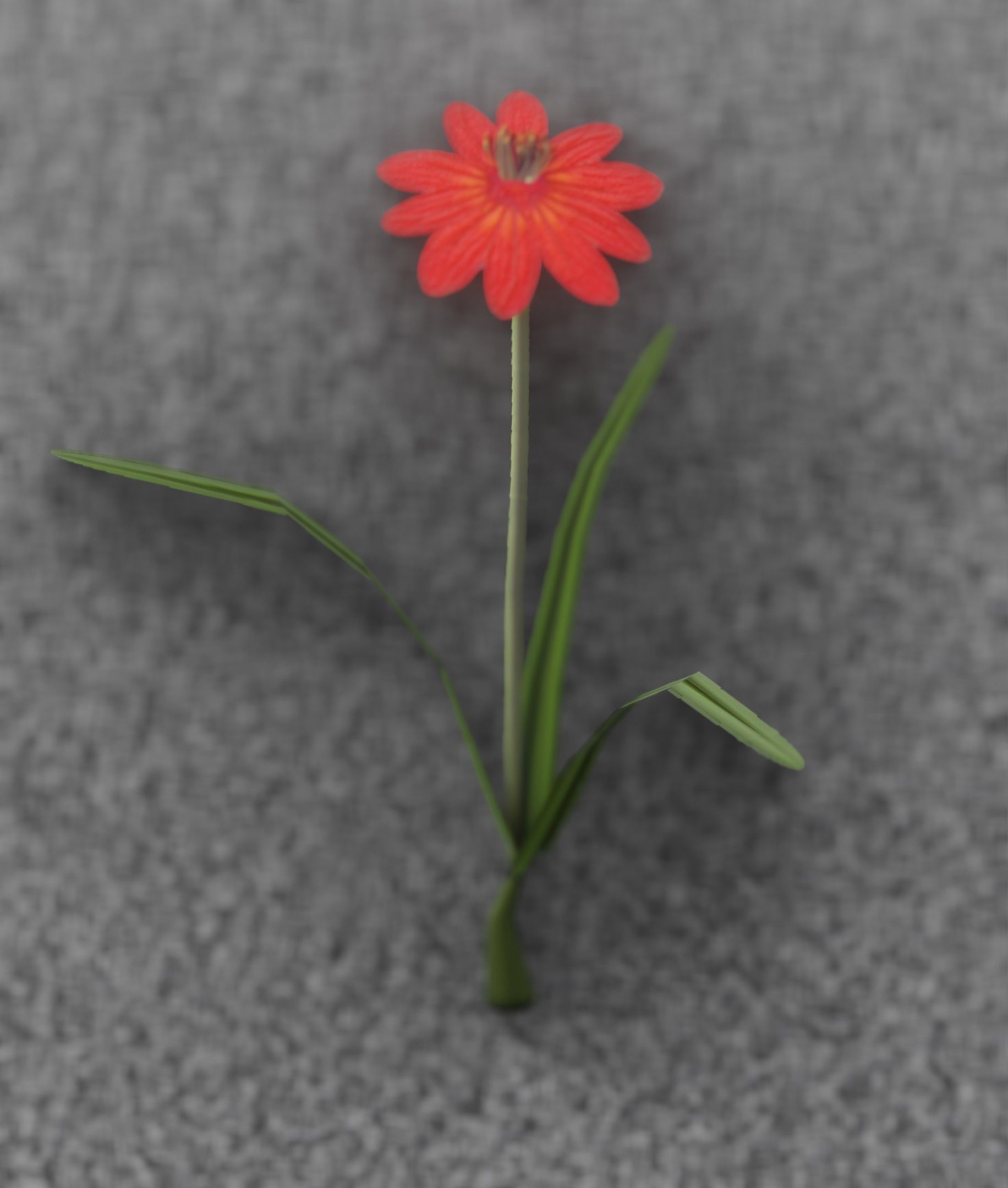 Red Flower - Verion 6 - Object 29 Low-poly 3D model_46