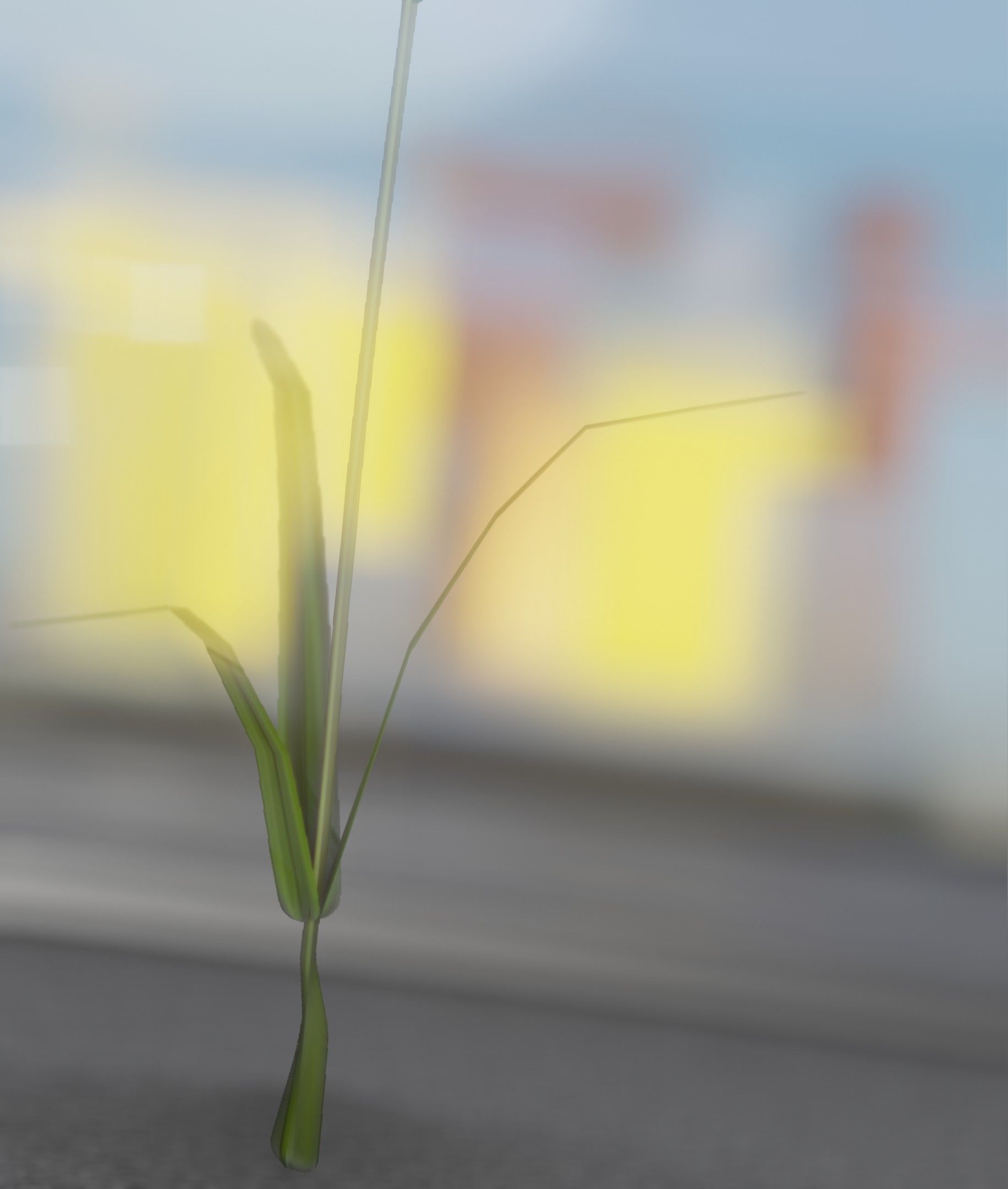 Red Flower - Verion 6 - Object 29 Low-poly 3D model_39