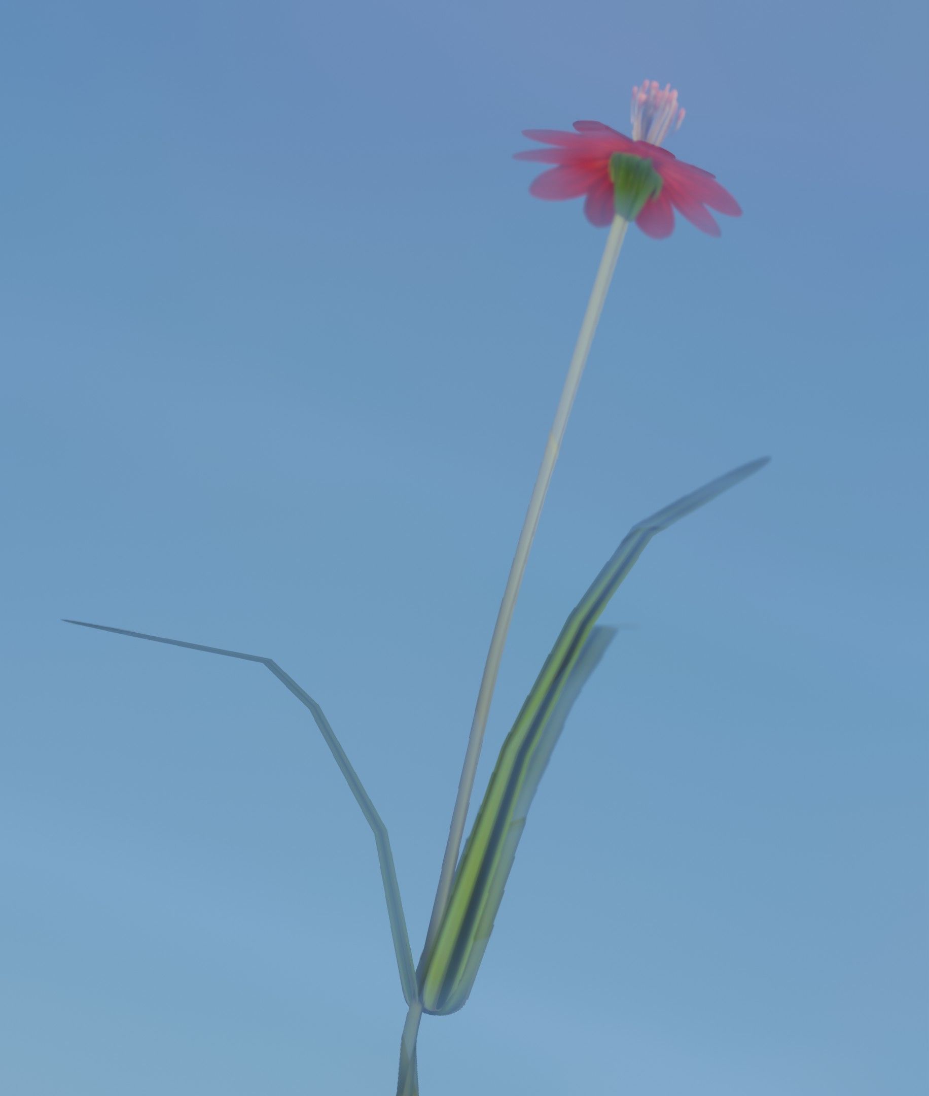 Red Flower - Verion 6 - Object 29 Low-poly 3D model_13