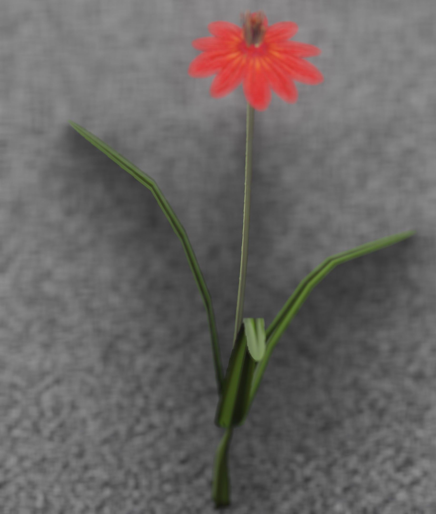Red Flower - Verion 6 - Object 29 Low-poly 3D model_48