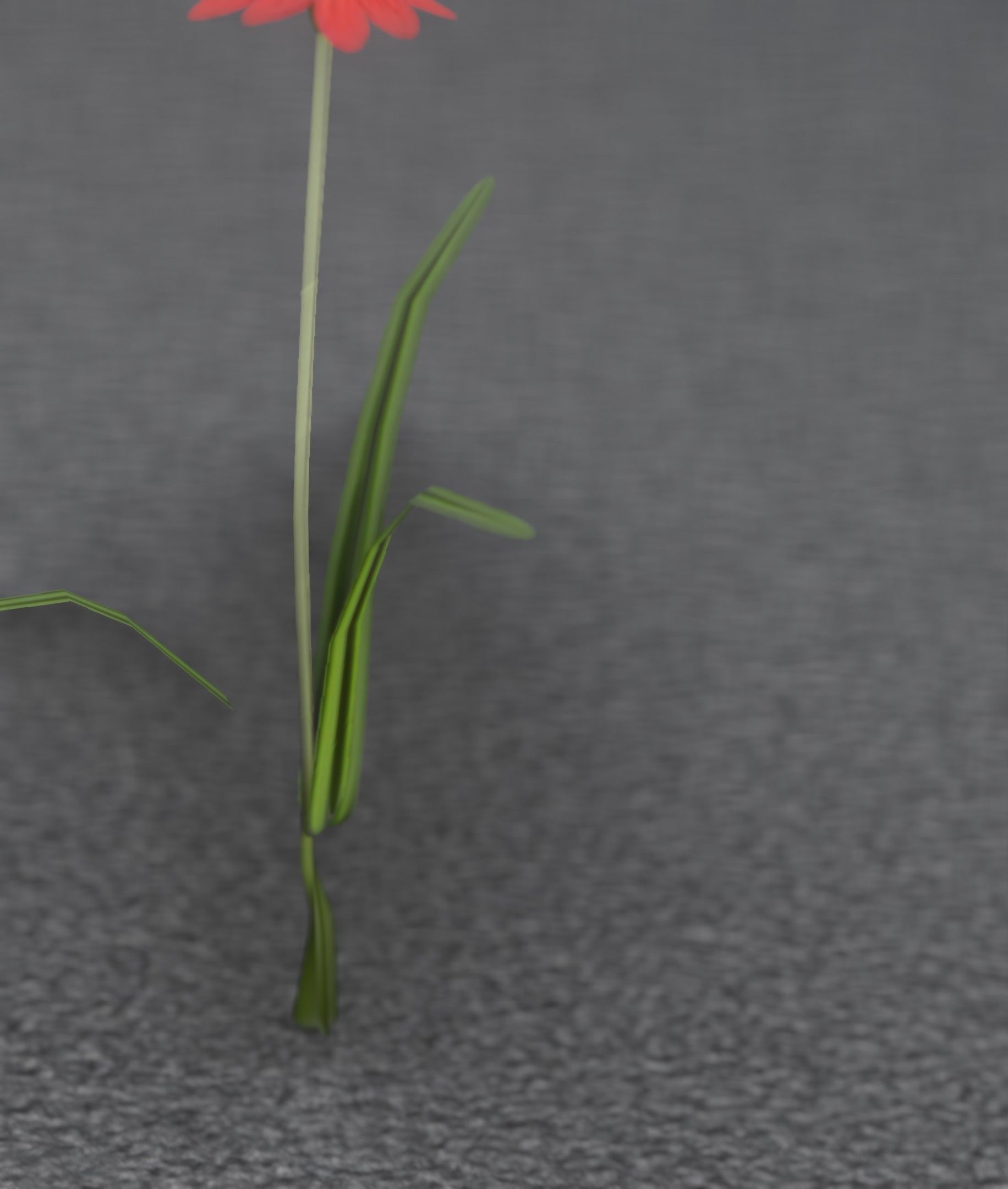 Red Flower - Verion 6 - Object 29 Low-poly 3D model_41