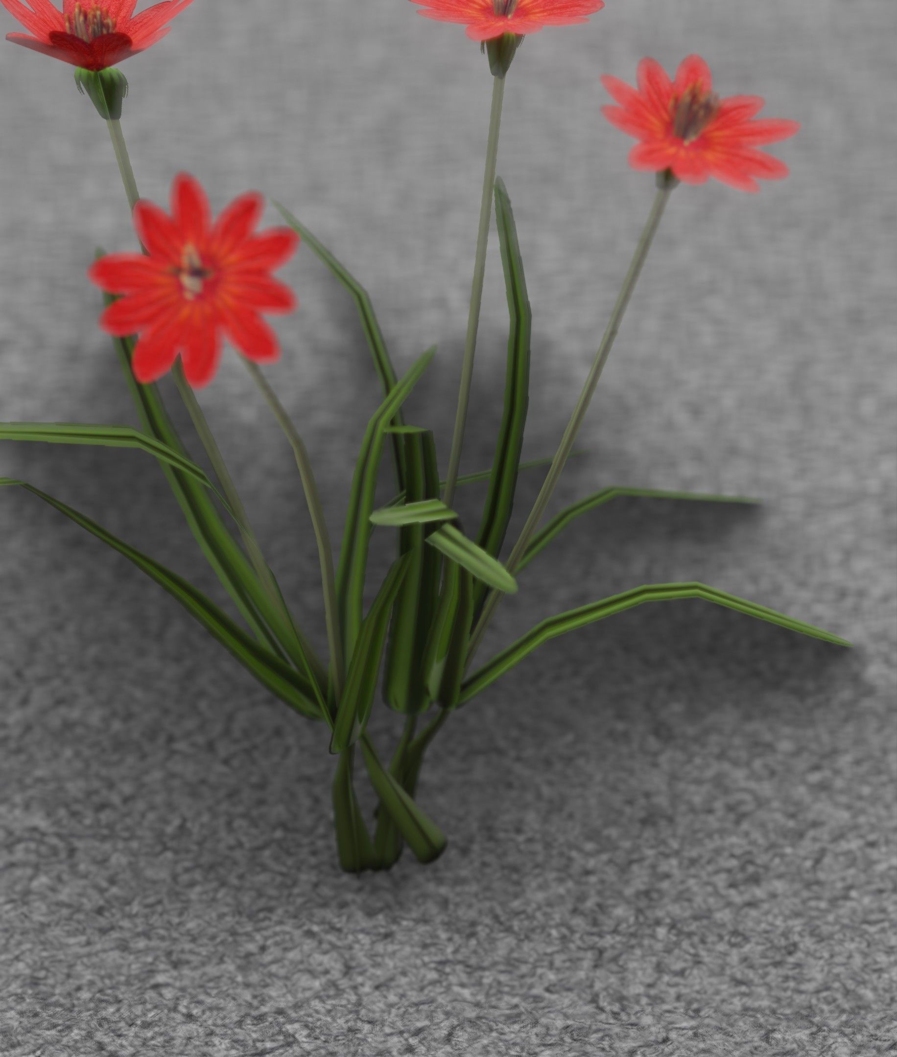 Red Flowers - Verion 7 - Object 30 Low-poly 3D model_47