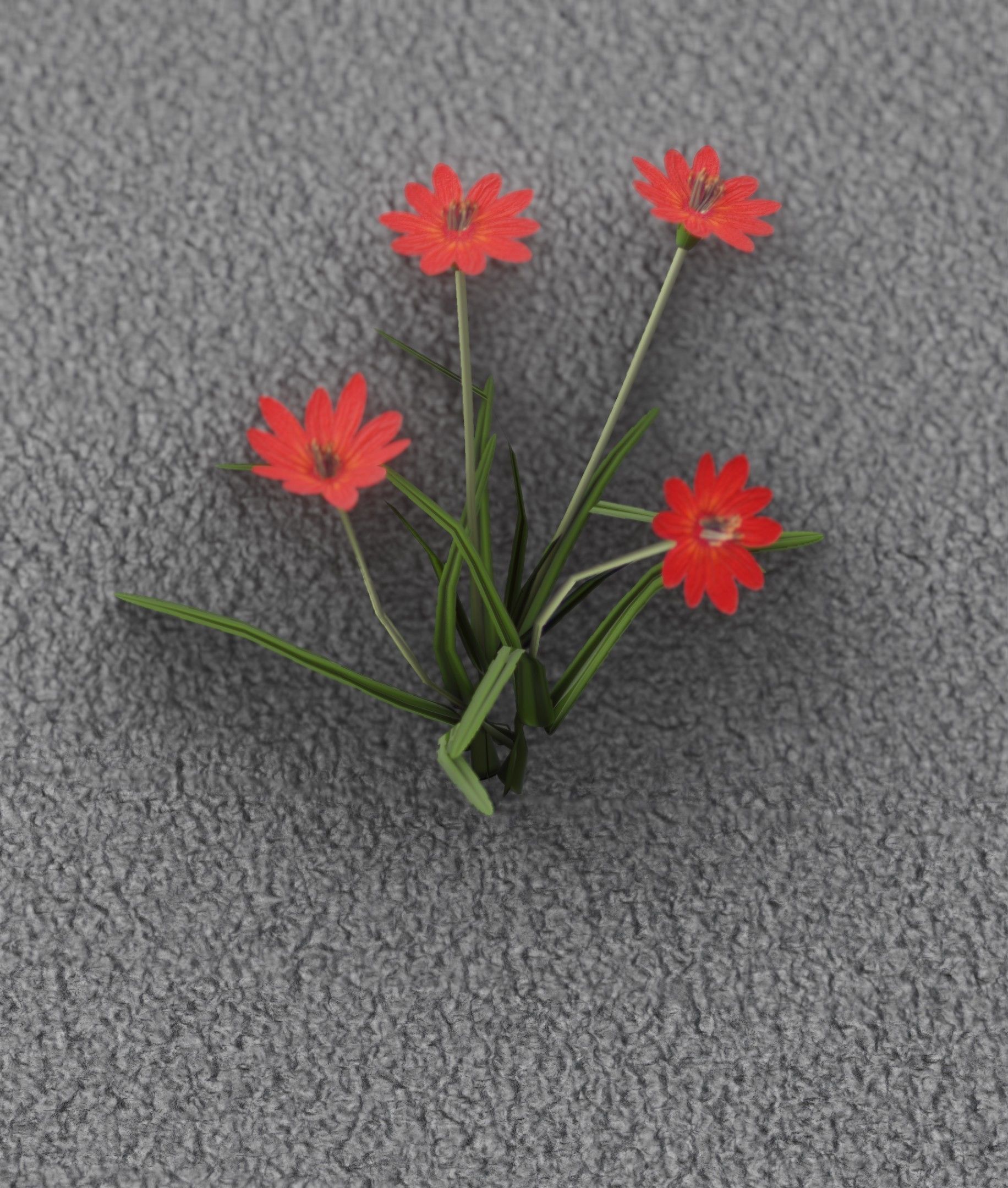 Red Flowers - Verion 7 - Object 30 Low-poly 3D model_10
