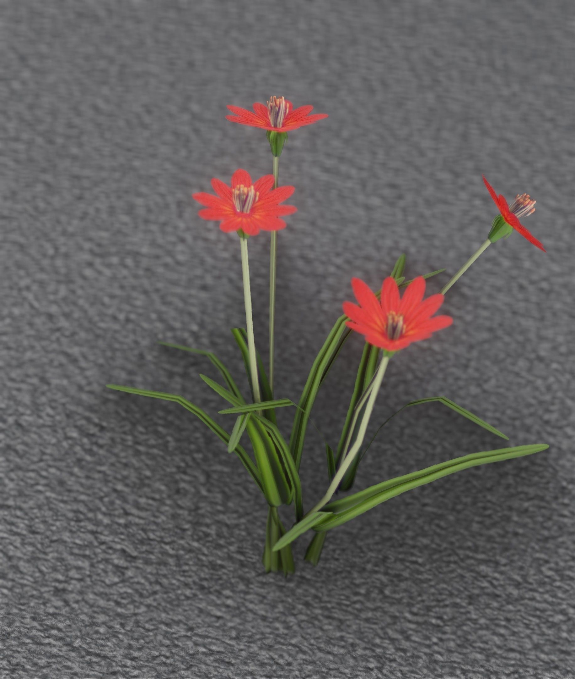 Red Flowers - Verion 7 - Object 30 Low-poly 3D model_6
