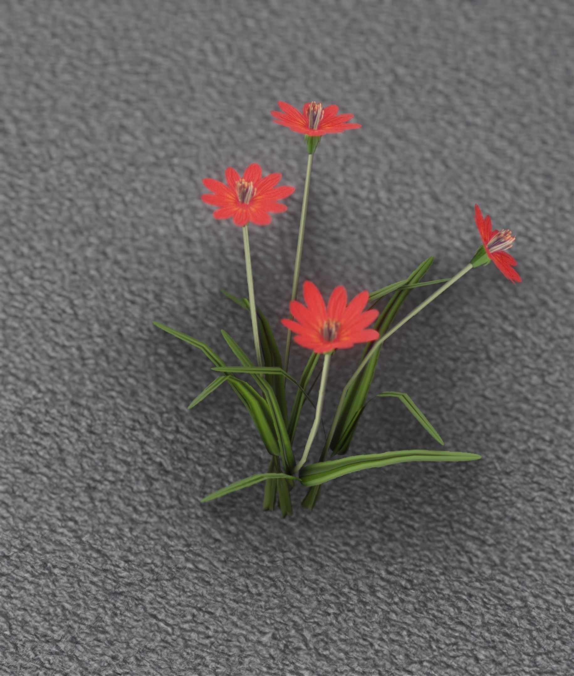 Red Flowers - Verion 7 - Object 30 Low-poly 3D model_7
