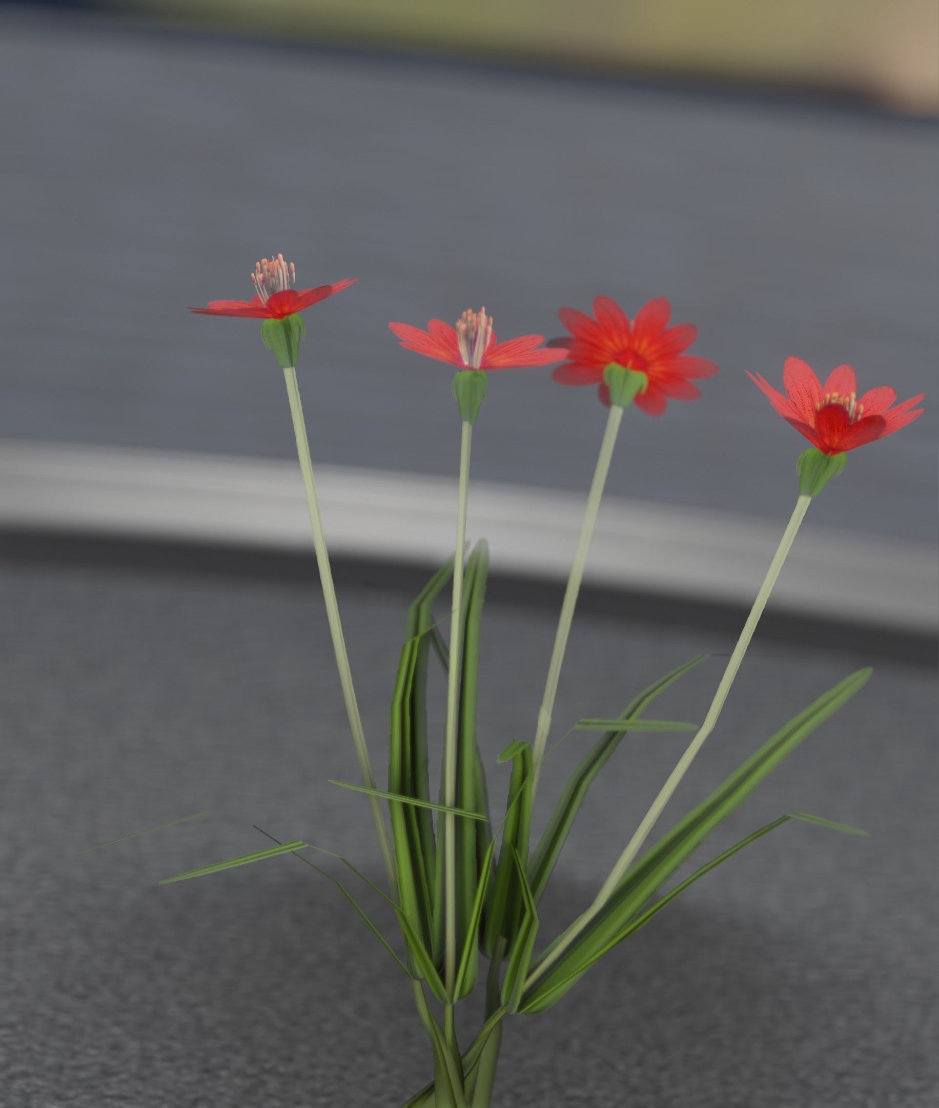 Red Flowers - Verion 7 - Object 30 Low-poly 3D model_3