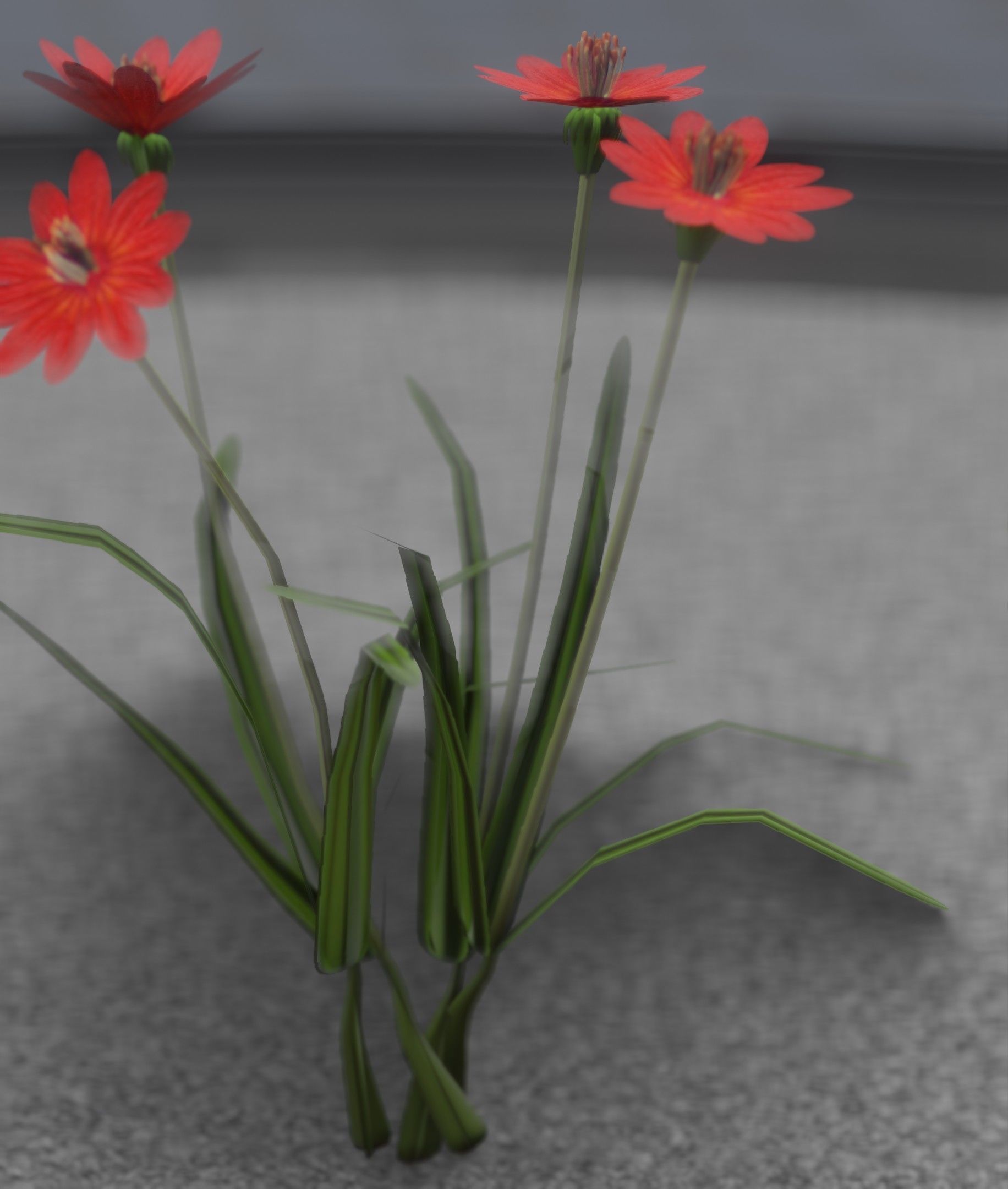 Red Flowers - Verion 7 - Object 30 Low-poly 3D model_48