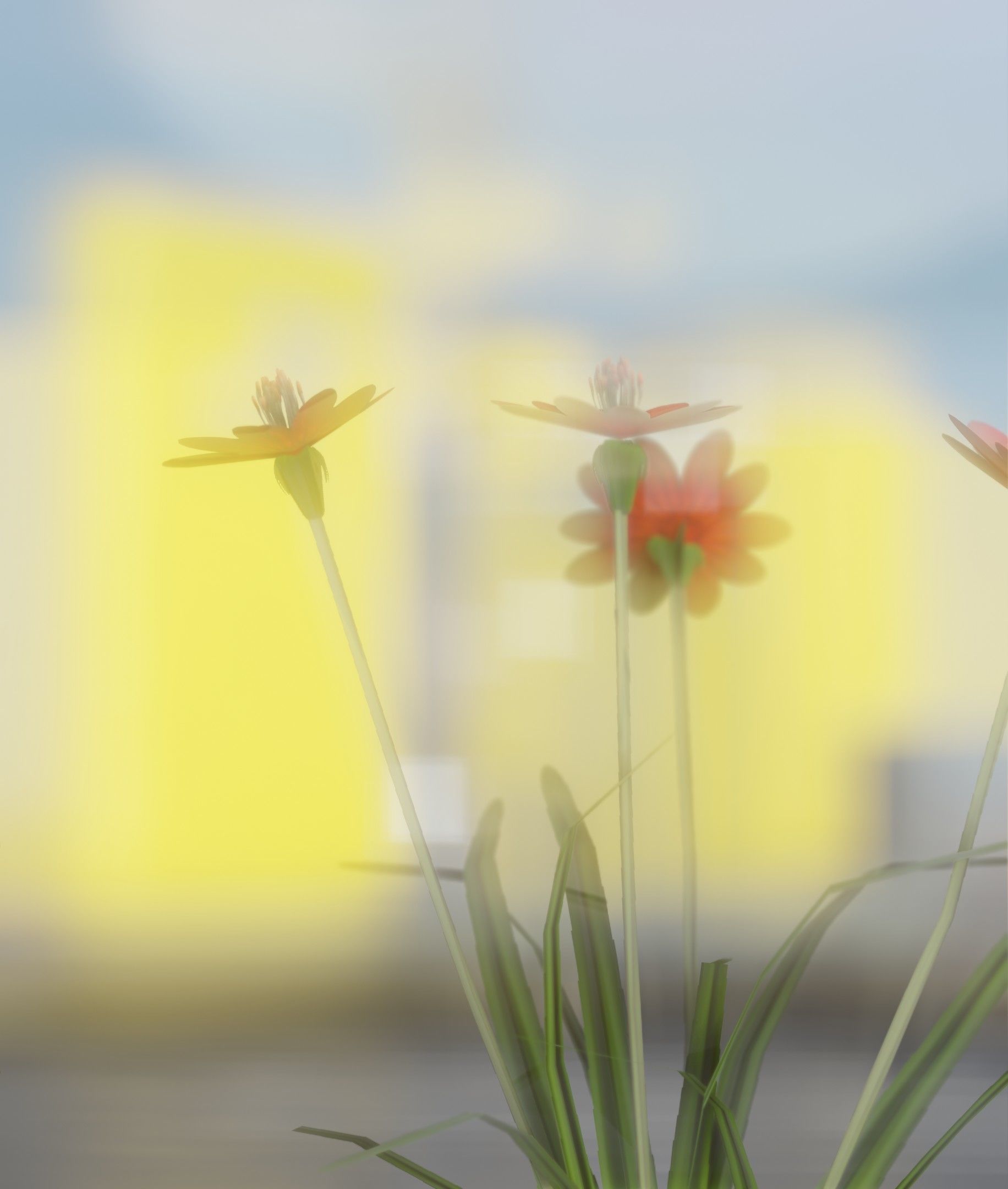 Red Flowers - Verion 7 - Object 30 Low-poly 3D model_31