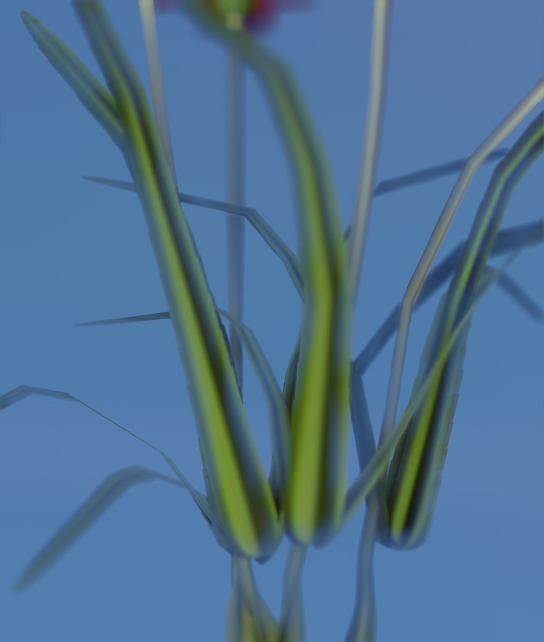 Red Flowers - Verion 7 - Object 30 Low-poly 3D model_21