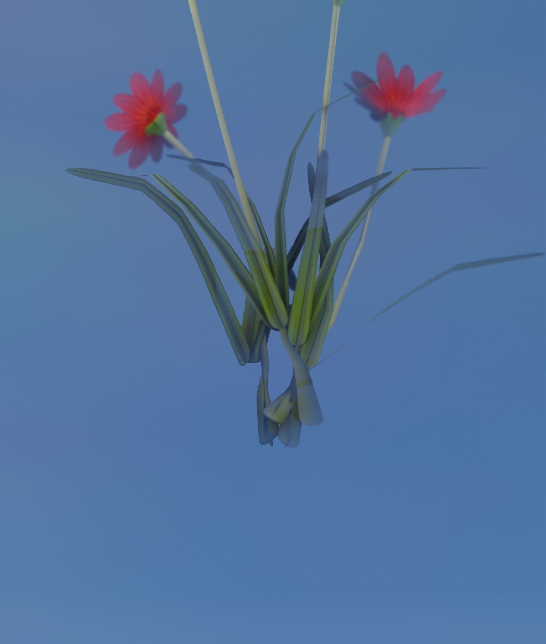 Red Flowers - Verion 7 - Object 30 Low-poly 3D model_15