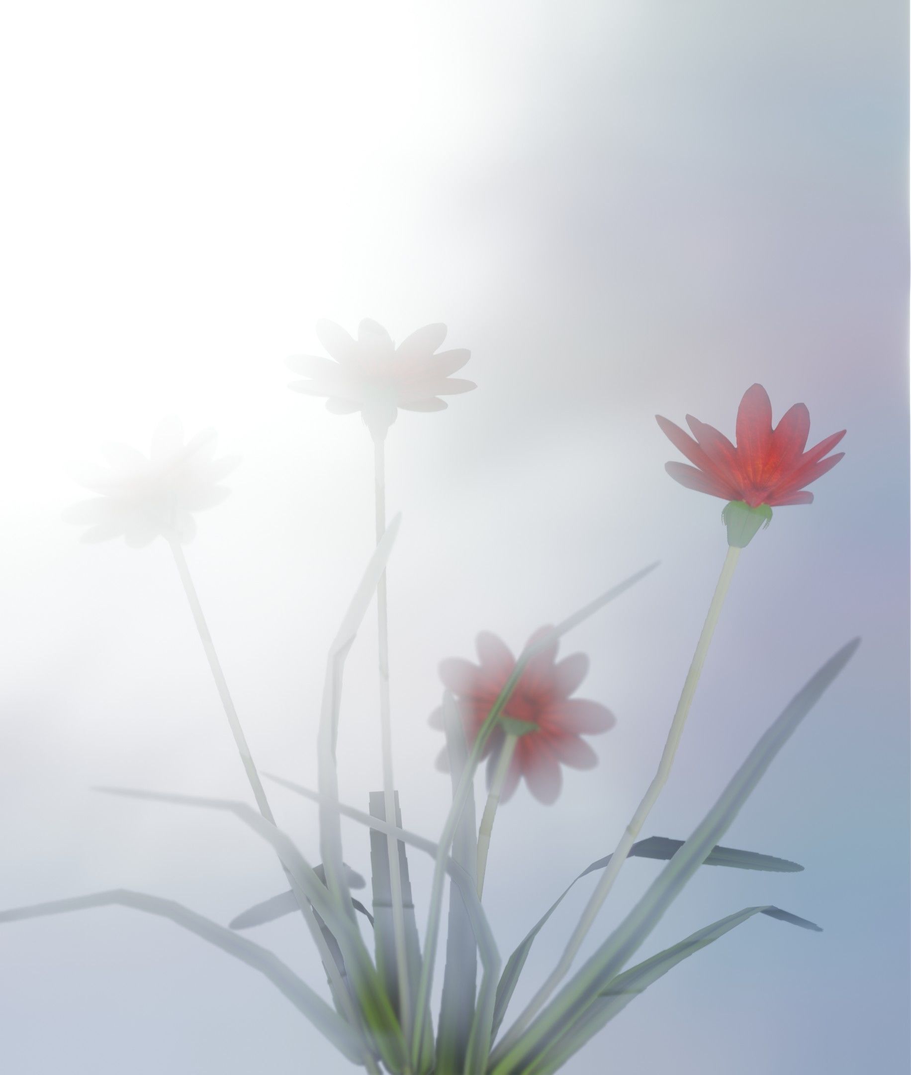 Red Flowers - Verion 7 - Object 30 Low-poly 3D model_18