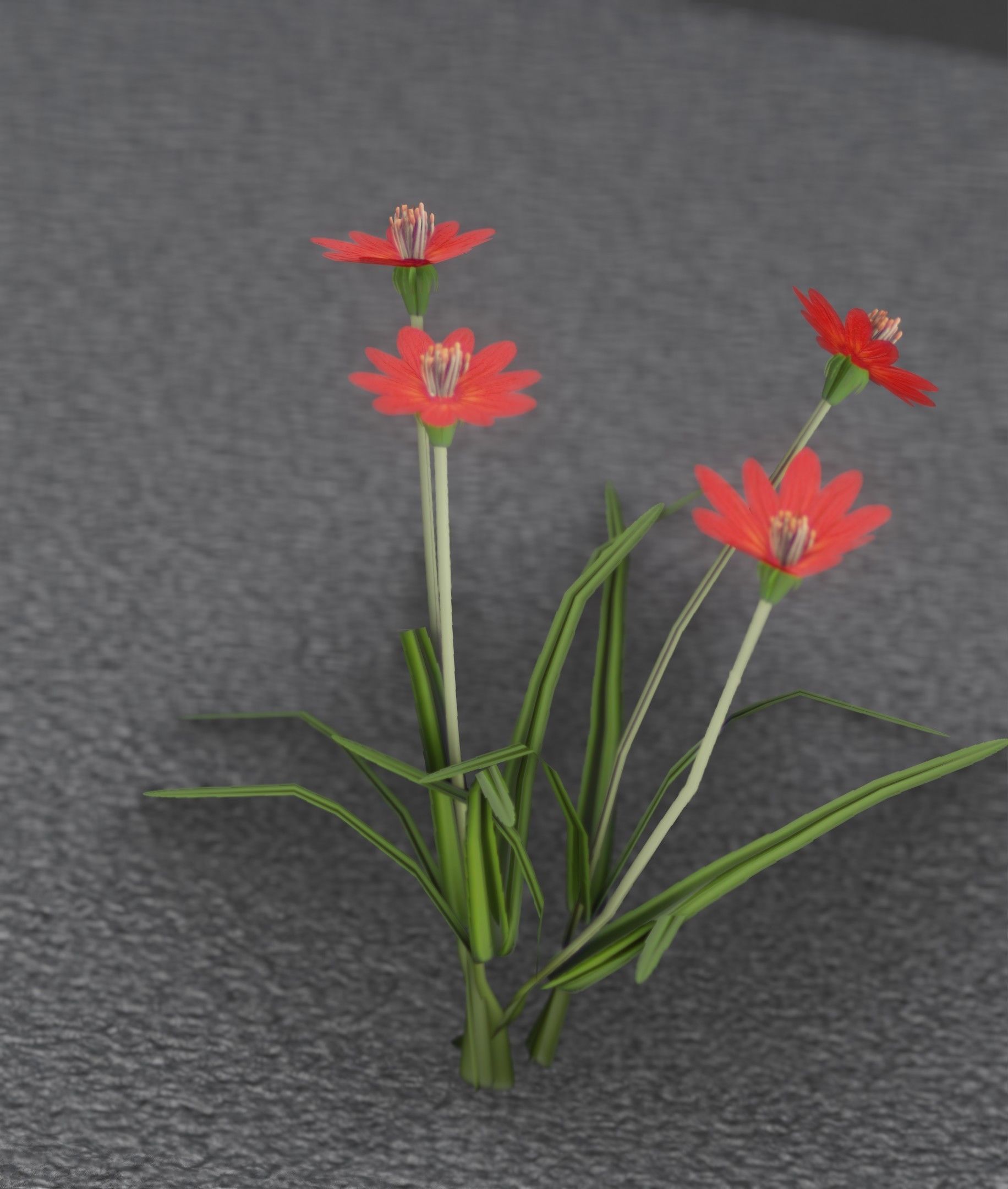 Red Flowers - Verion 7 - Object 30 Low-poly 3D model_5