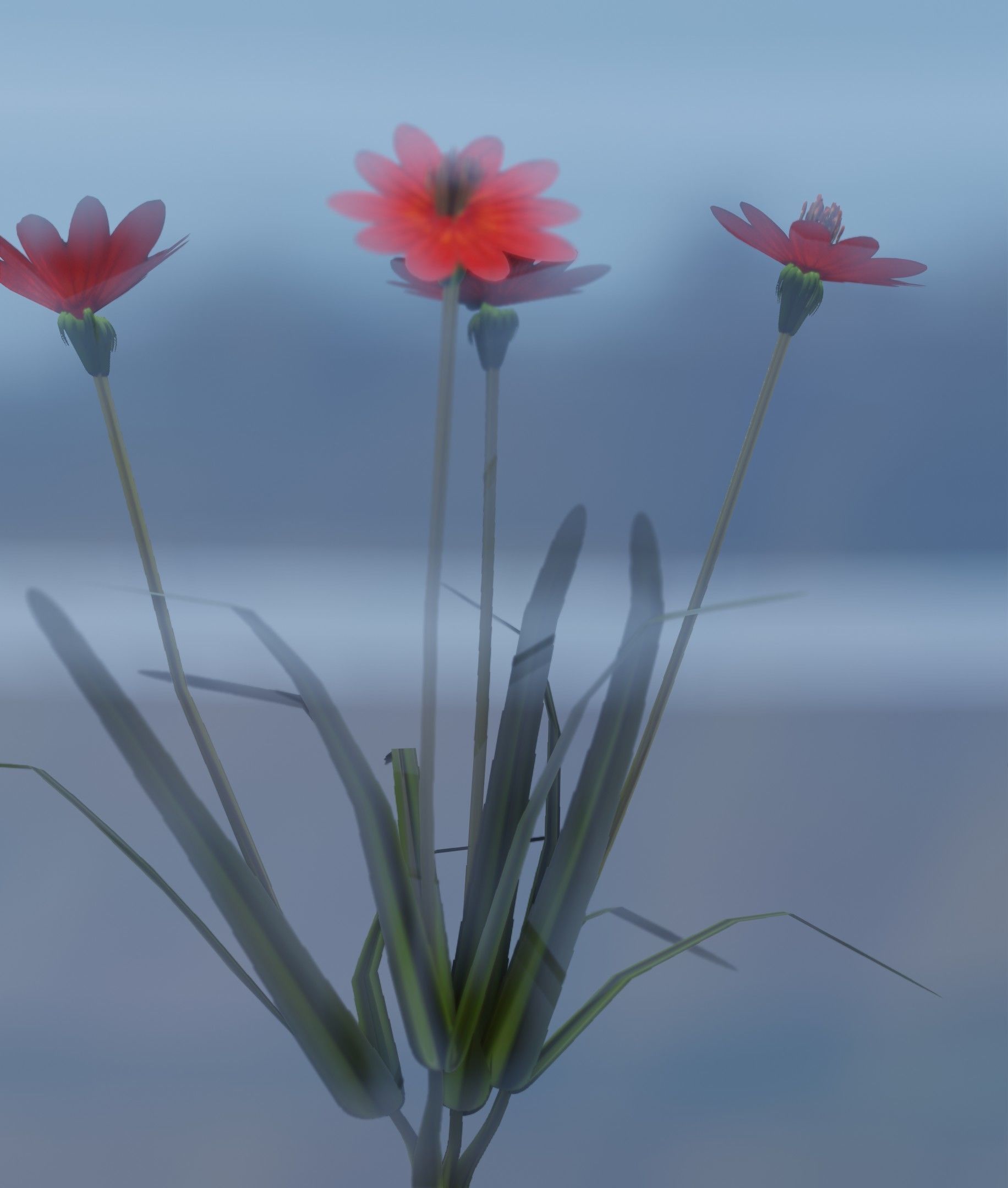 Red Flowers - Verion 7 - Object 30 Low-poly 3D model_25