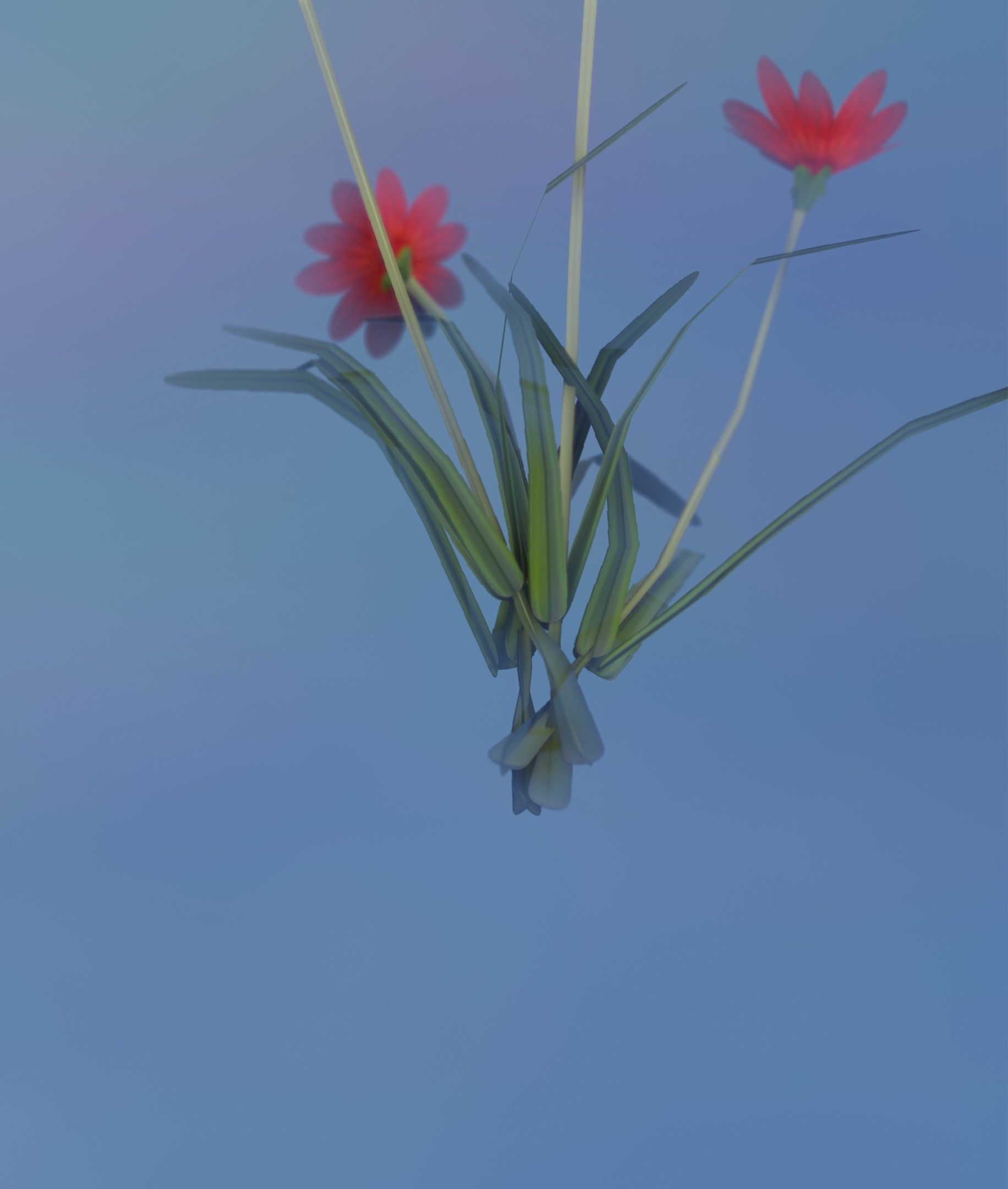 Red Flowers - Verion 7 - Object 30 Low-poly 3D model_16