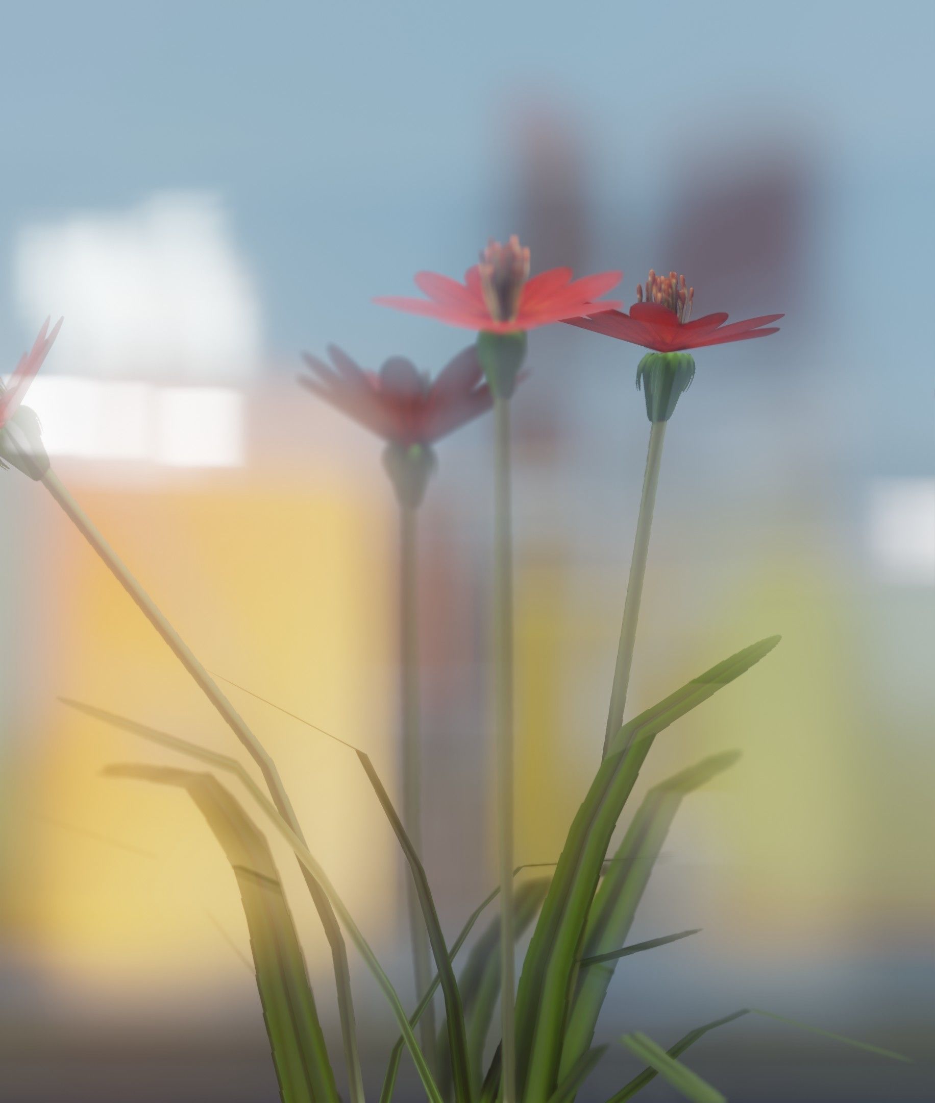 Red Flowers - Verion 7 - Object 30 Low-poly 3D model_28