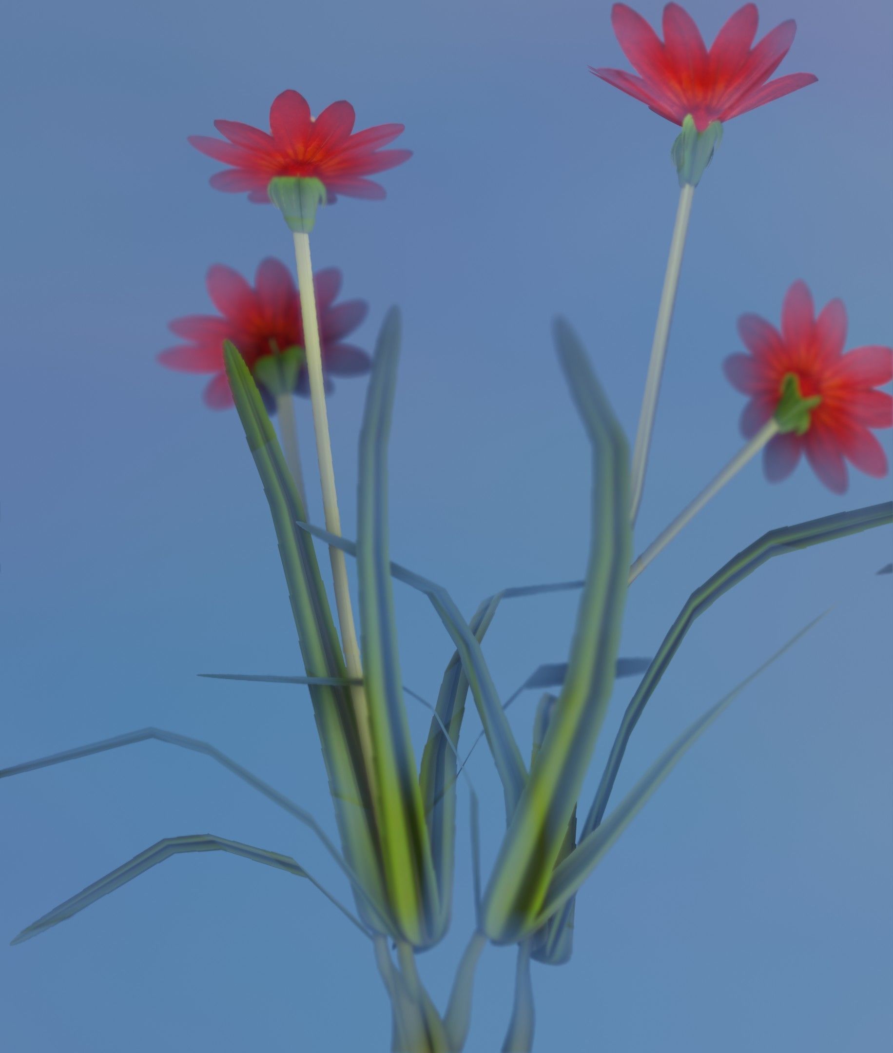 Red Flowers - Verion 7 - Object 30 Low-poly 3D model_20