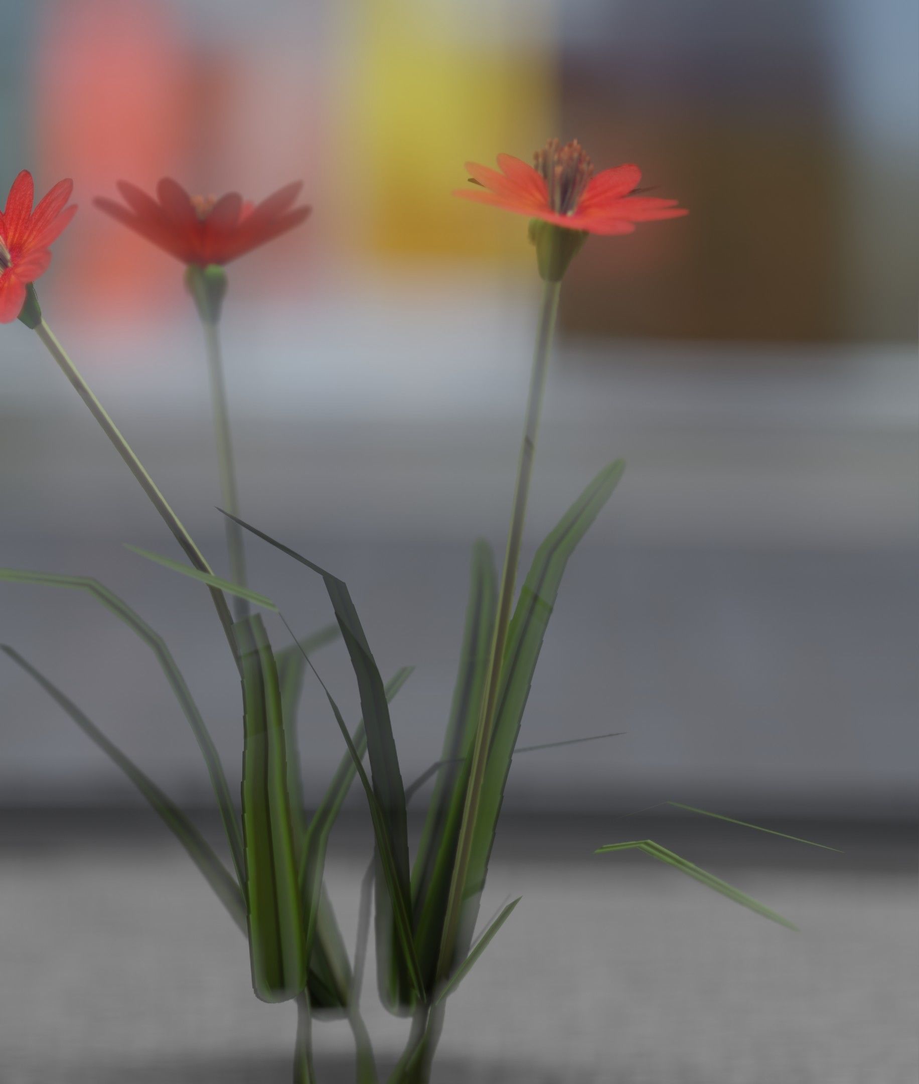 Red Flowers - Verion 7 - Object 30 Low-poly 3D model_49