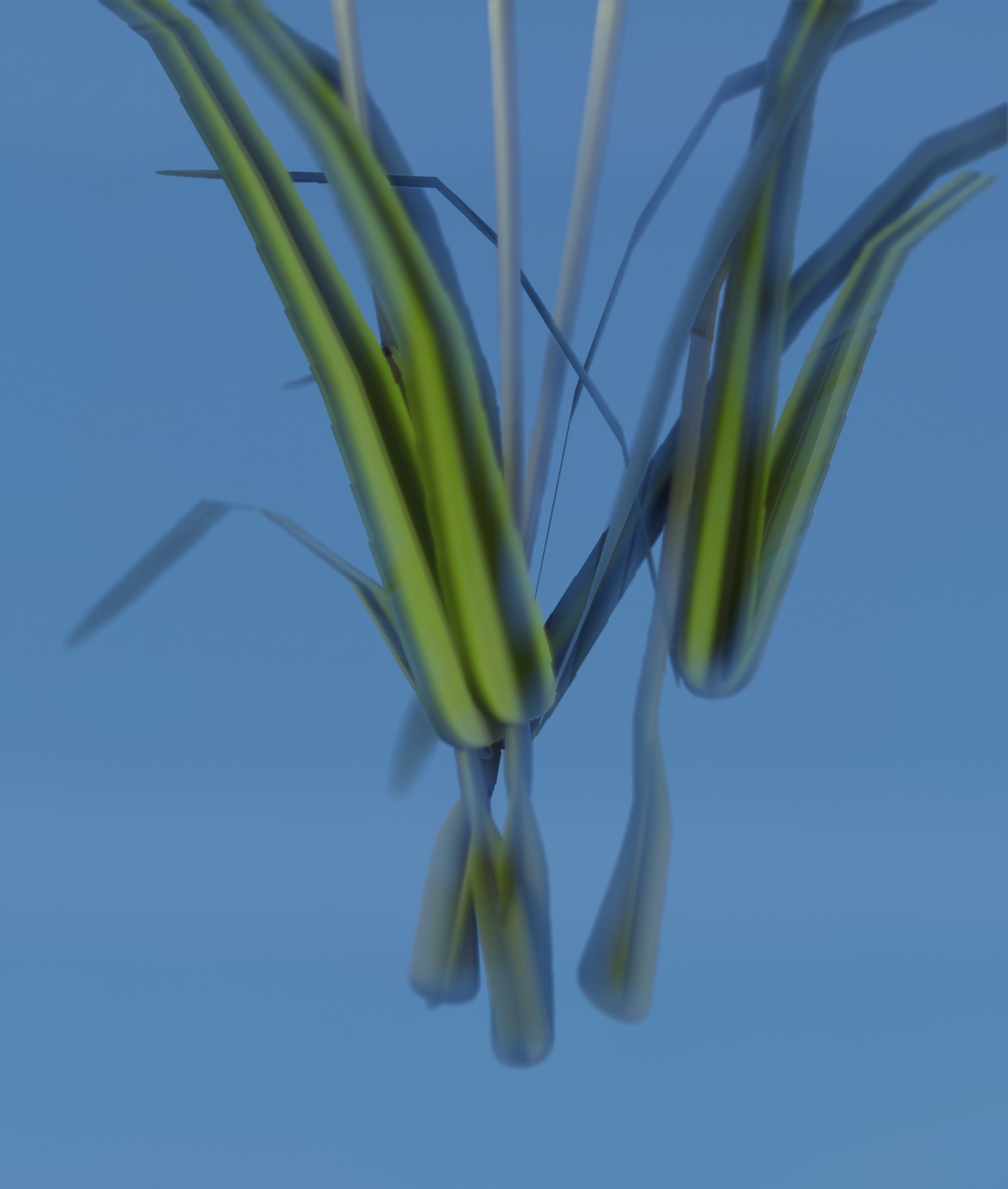 Red Flowers - Verion 7 - Object 30 Low-poly 3D model_22