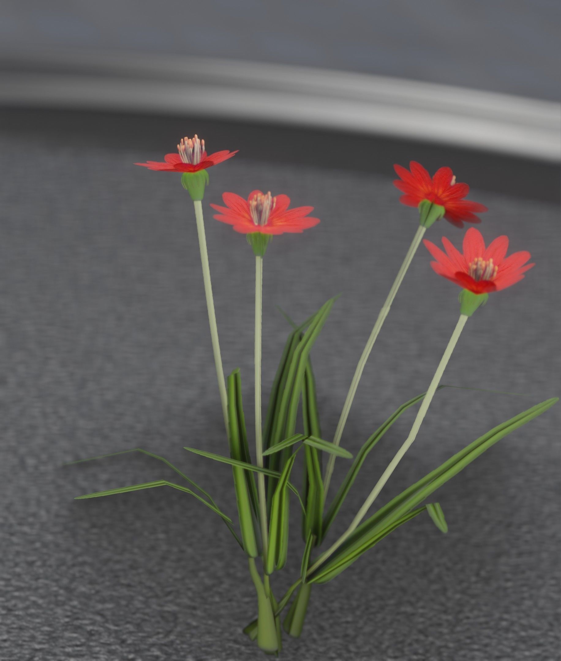 Red Flowers - Verion 7 - Object 30 Low-poly 3D model_4