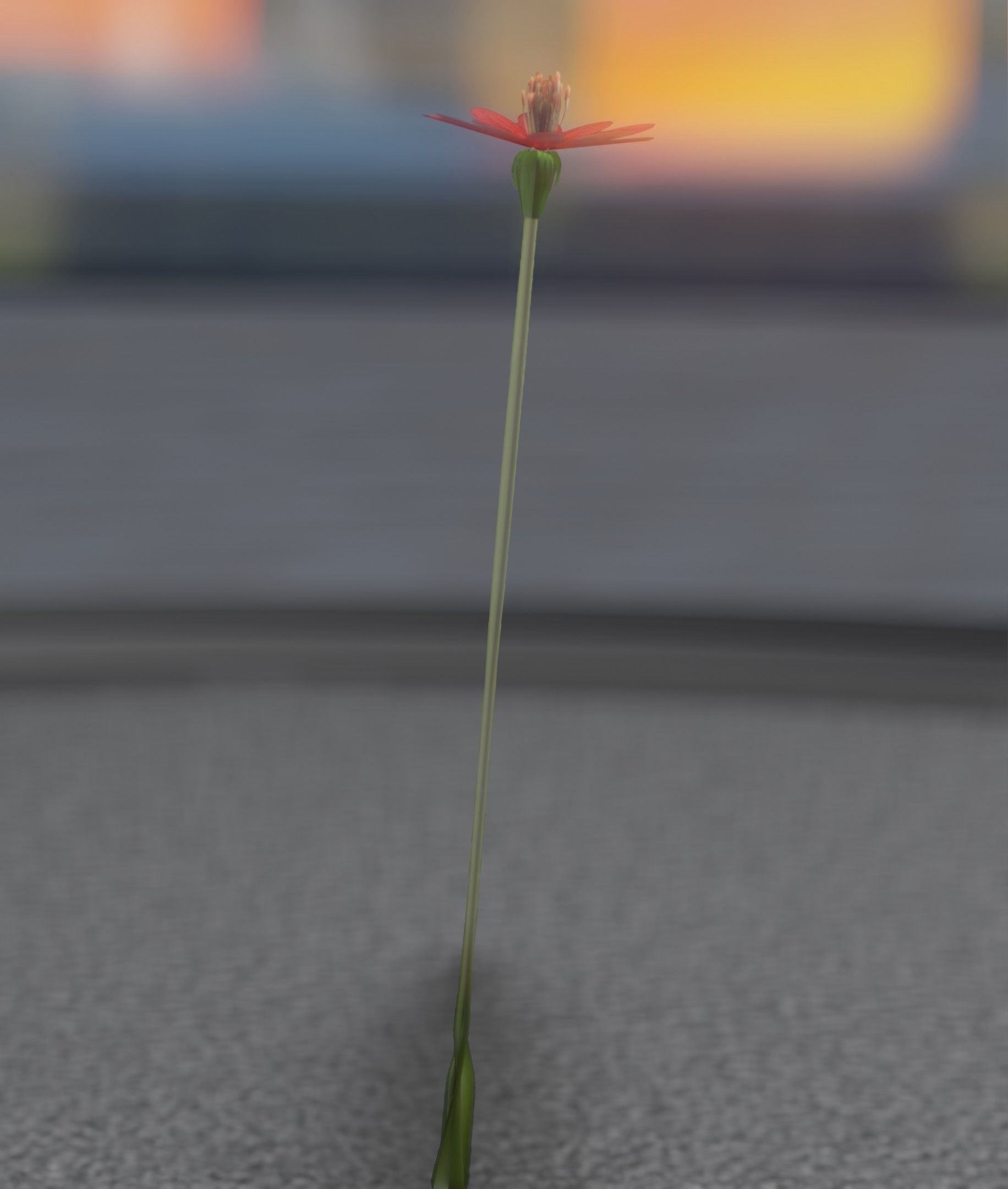 Red Flower - Verion 2 - Object 31 Low-poly 3D model_21