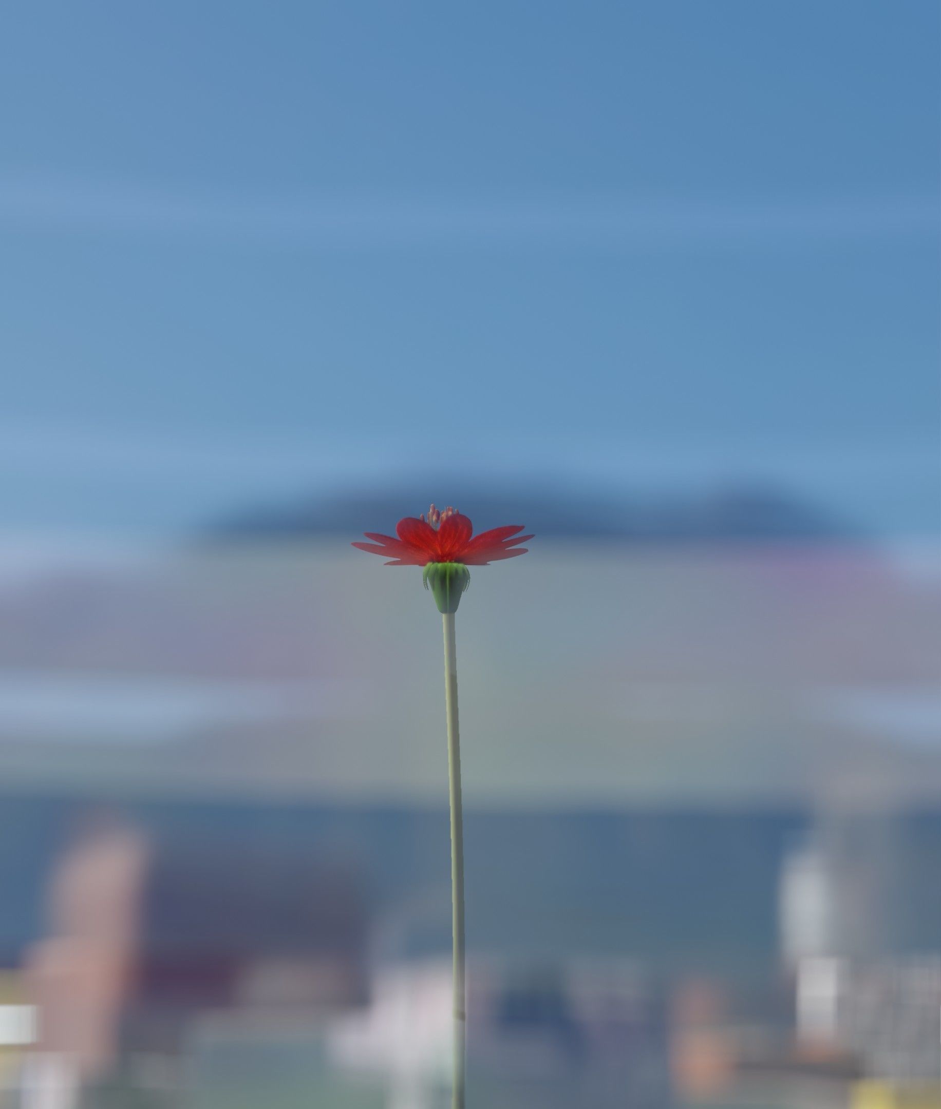 Red Flower - Verion 2 - Object 31 Low-poly 3D model_26