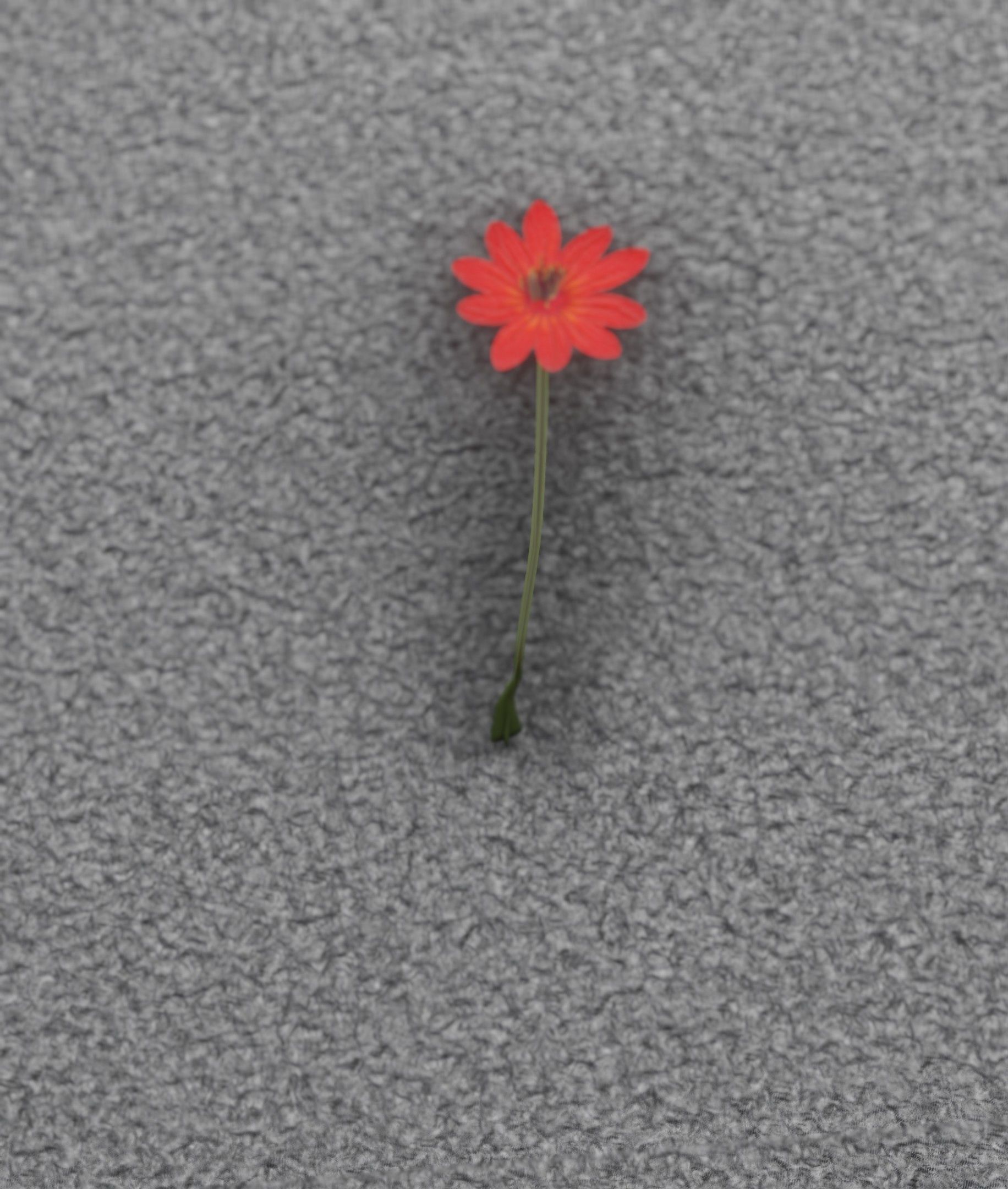 Red Flower - Verion 2 - Object 31 Low-poly 3D model_48