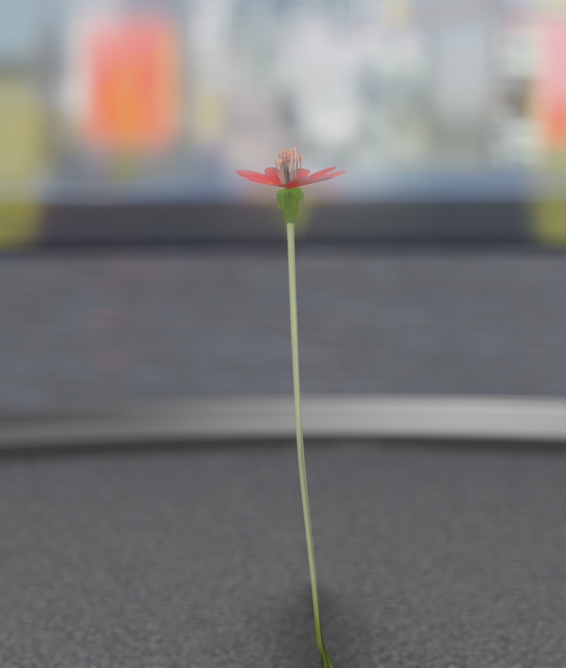 Red Flower - Verion 2 - Object 31 Low-poly 3D model_24