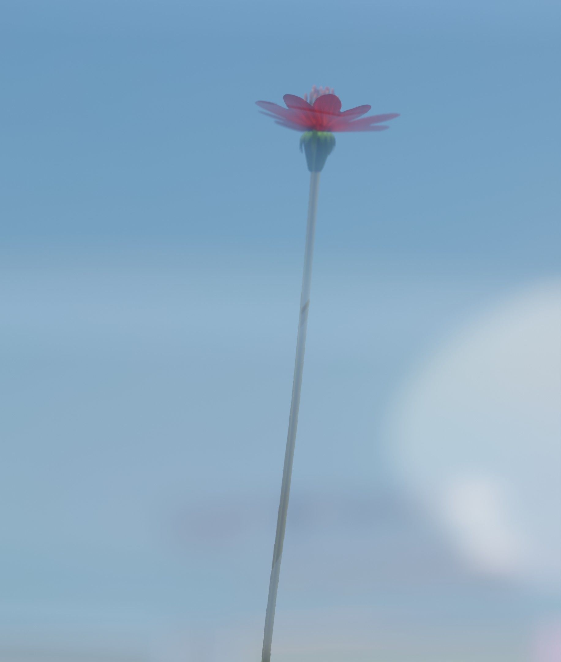 Red Flower - Verion 2 - Object 31 Low-poly 3D model_4