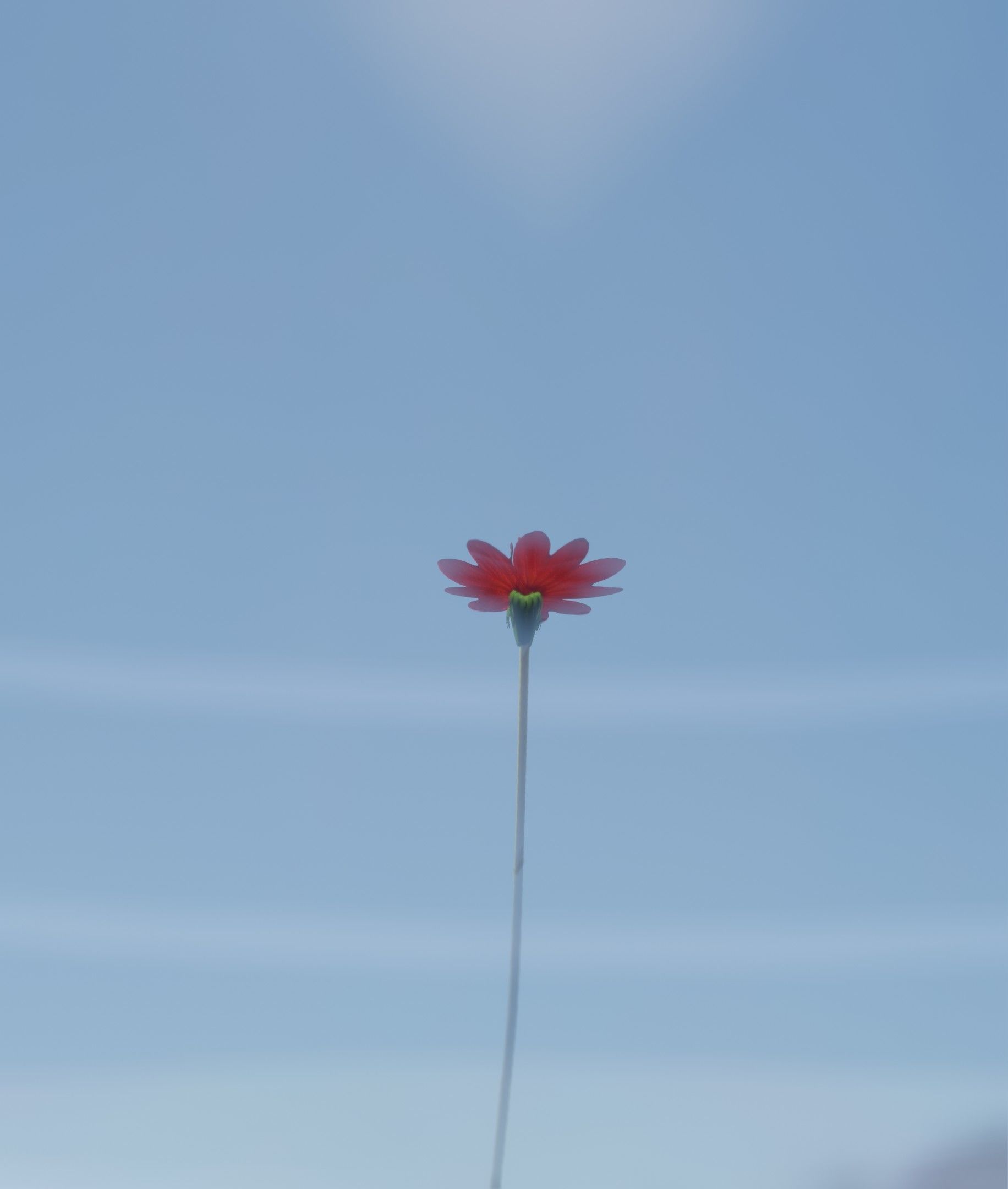 Red Flower - Verion 2 - Object 31 Low-poly 3D model_28