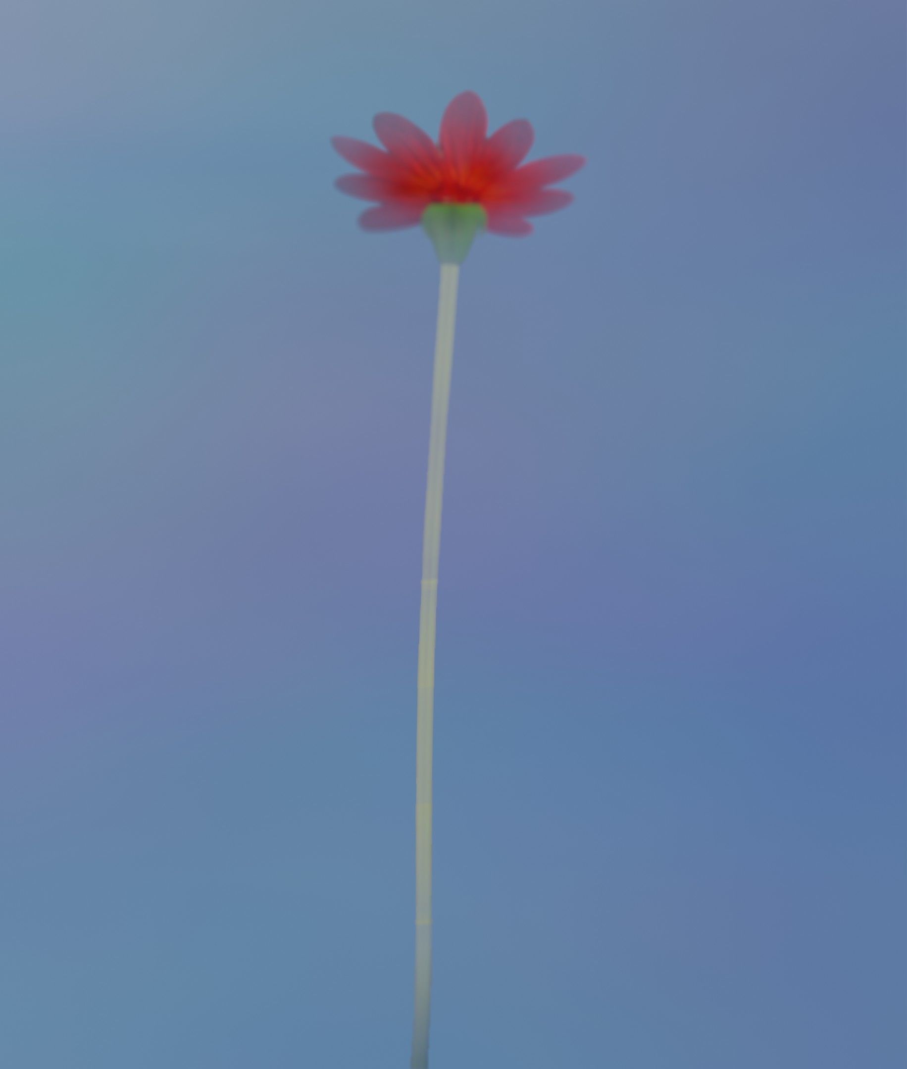Red Flower - Verion 2 - Object 31 Low-poly 3D model_8