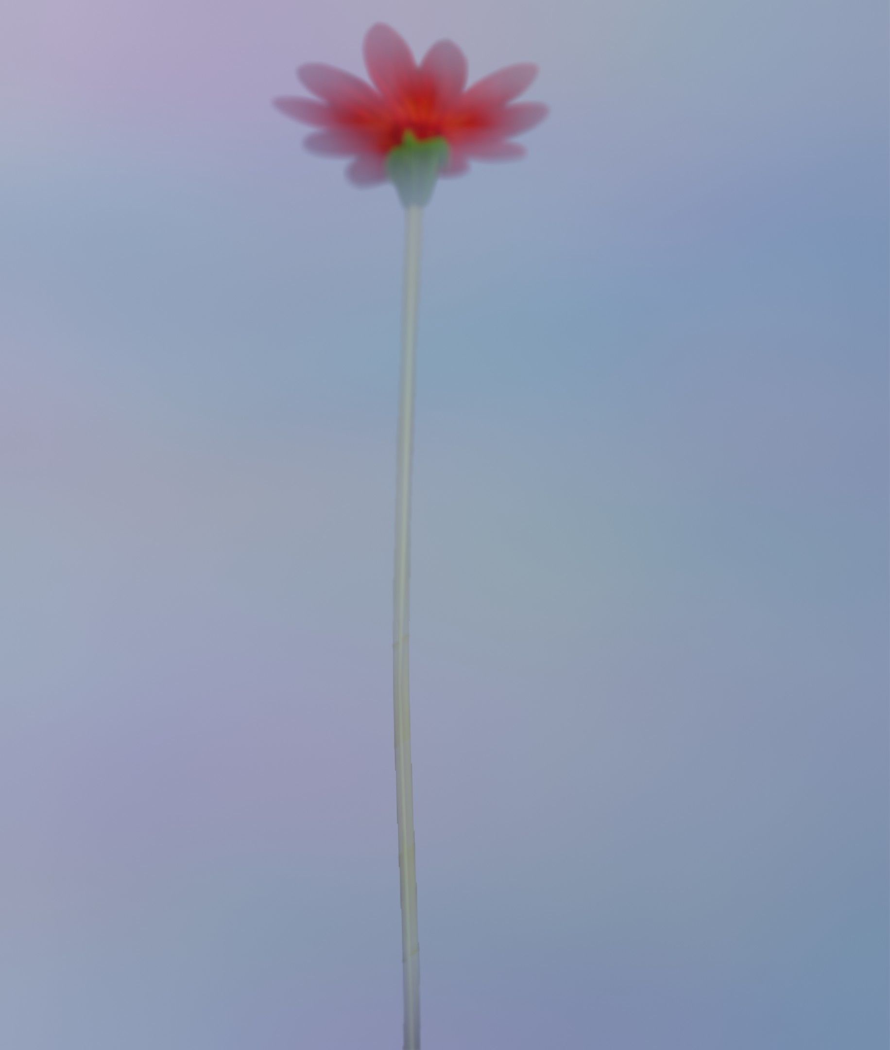 Red Flower - Verion 2 - Object 31 Low-poly 3D model_9