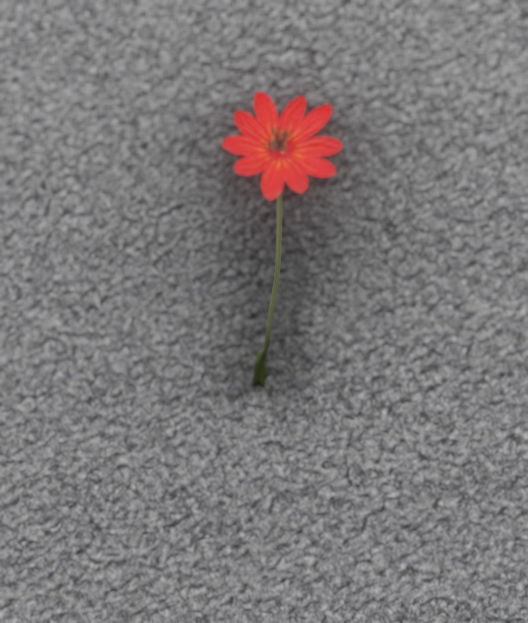 Red Flower - Verion 2 - Object 31 Low-poly 3D model_47