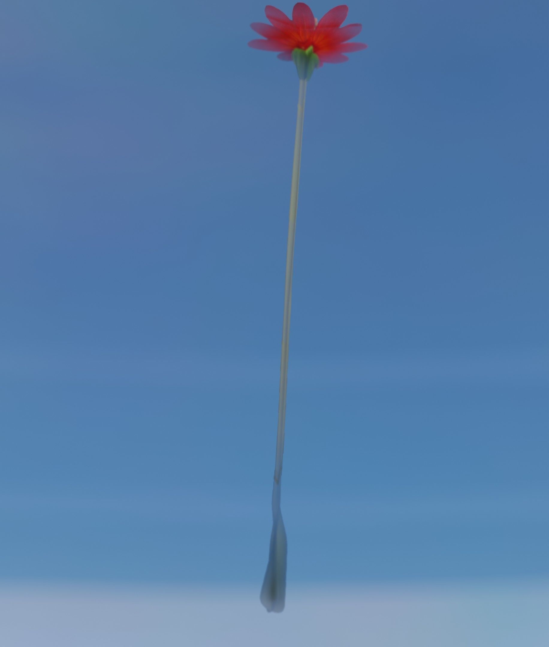 Red Flower - Verion 2 - Object 31 Low-poly 3D model_32