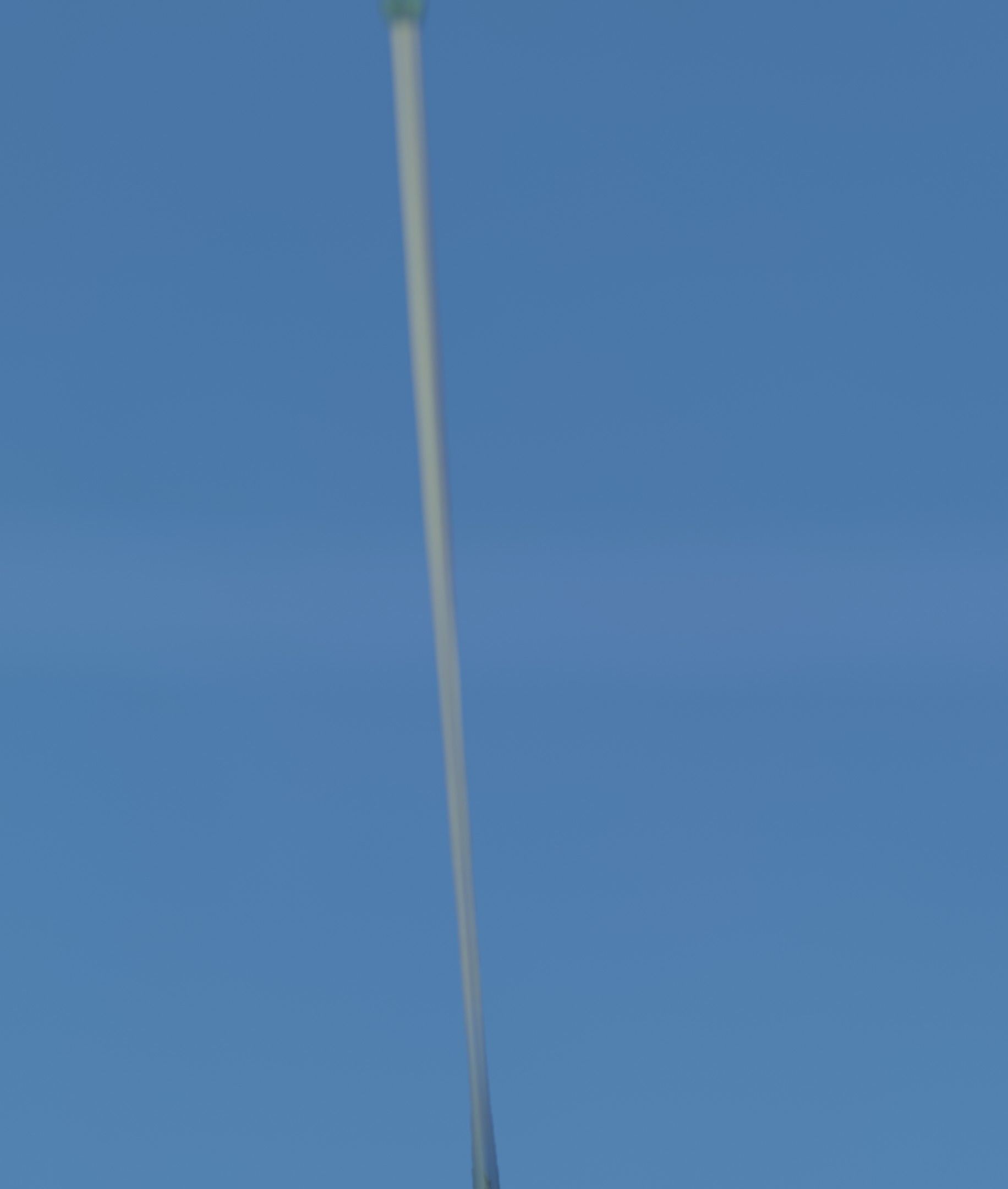 Red Flower - Verion 2 - Object 31 Low-poly 3D model_14