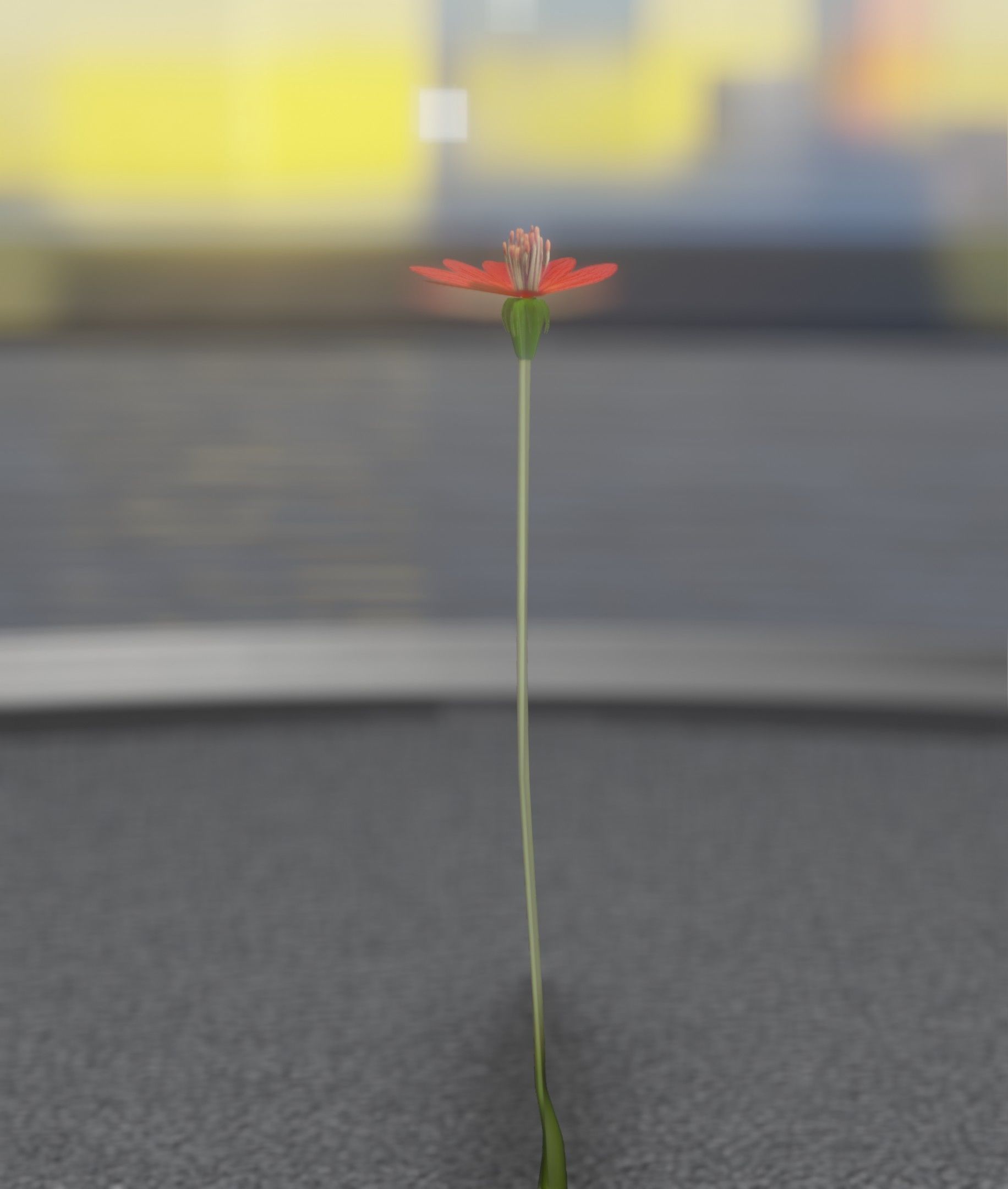 Red Flower - Verion 2 - Object 31 Low-poly 3D model_23