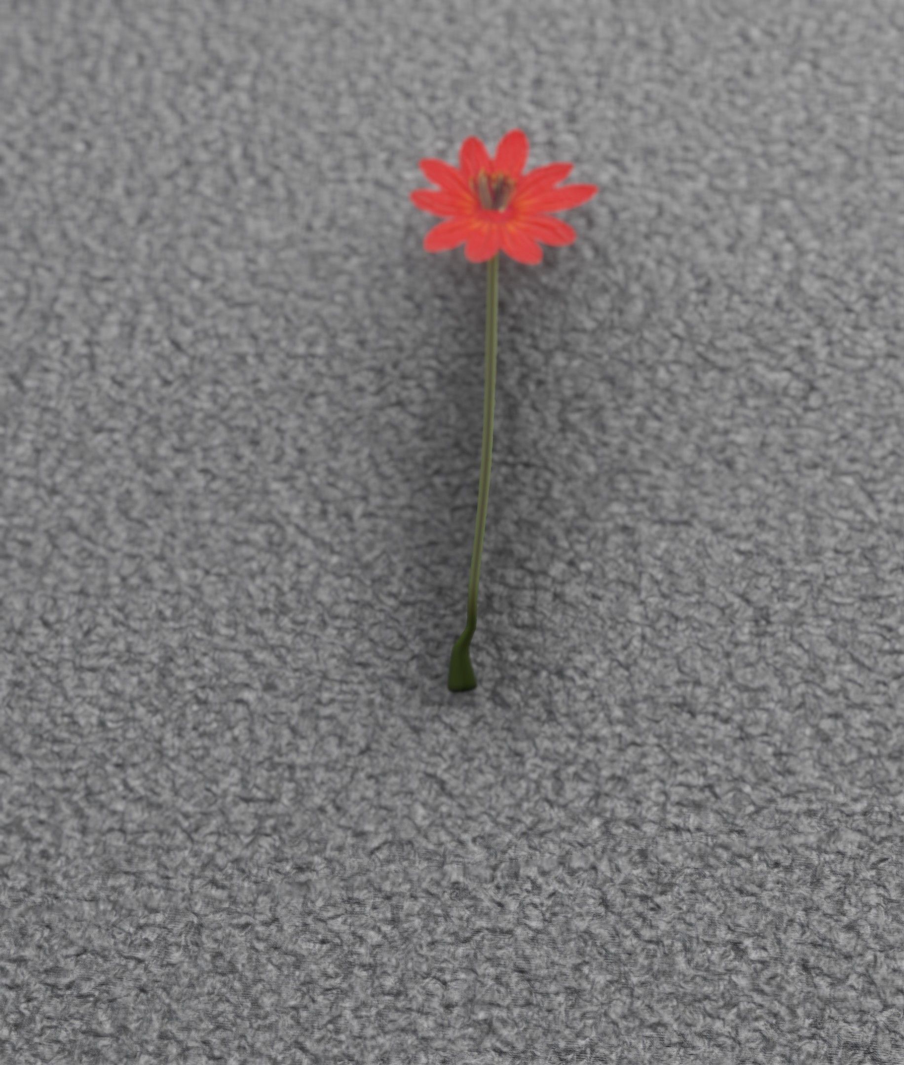 Red Flower - Verion 2 - Object 31 Low-poly 3D model_49