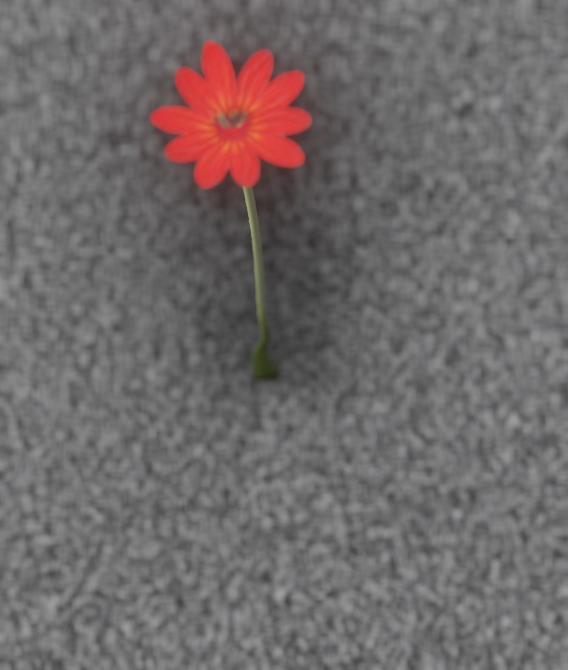 Red Flower - Verion 2 - Object 31 Low-poly 3D model_43