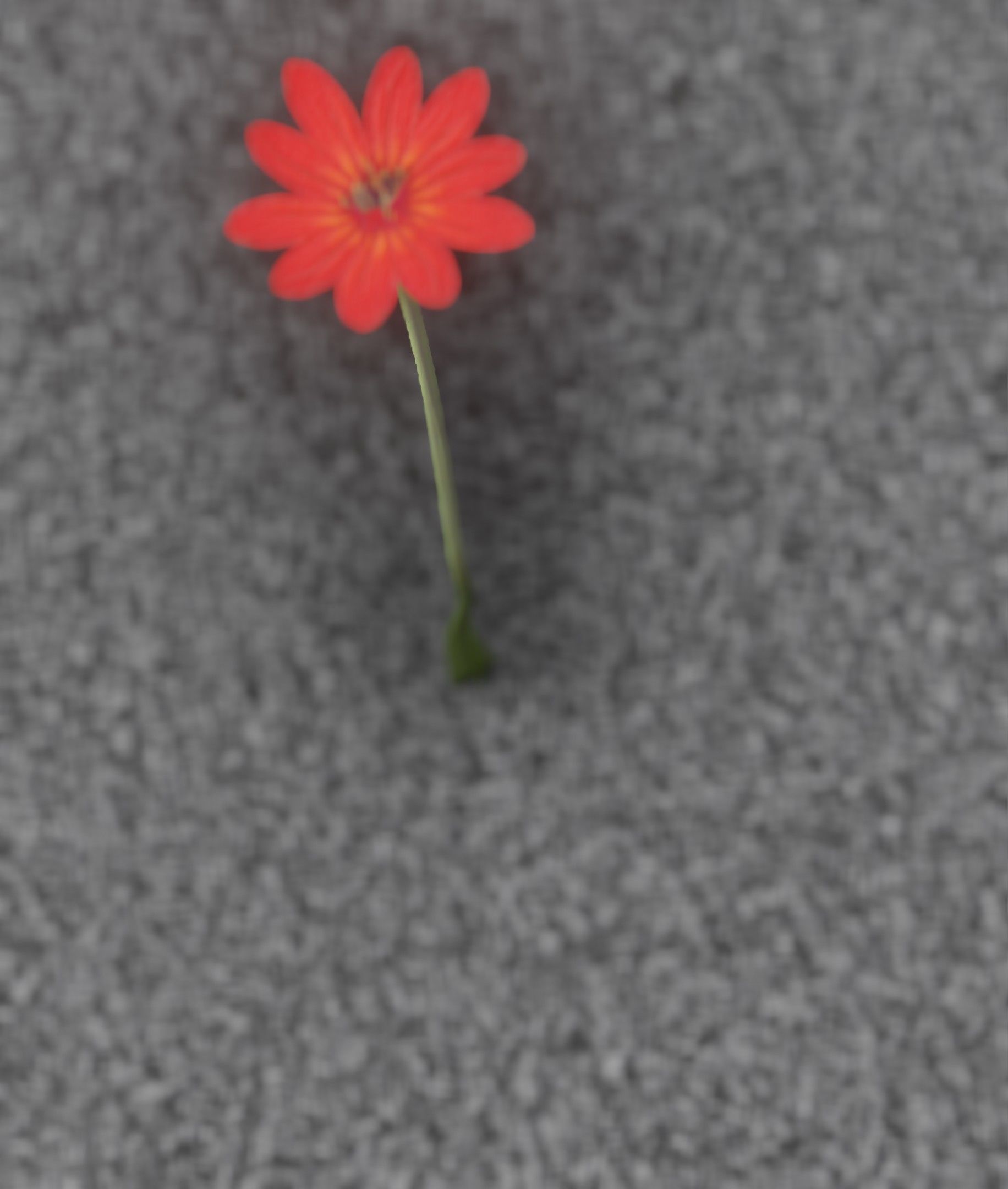 Red Flower - Verion 2 - Object 31 Low-poly 3D model_42