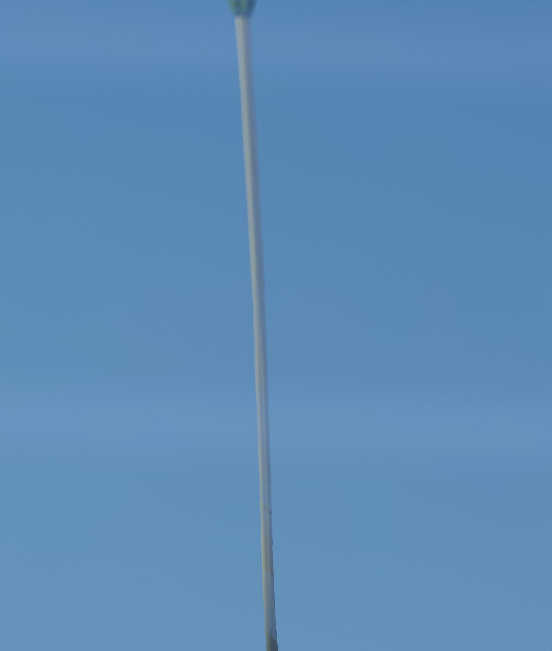 Red Flower - Verion 2 - Object 31 Low-poly 3D model_15