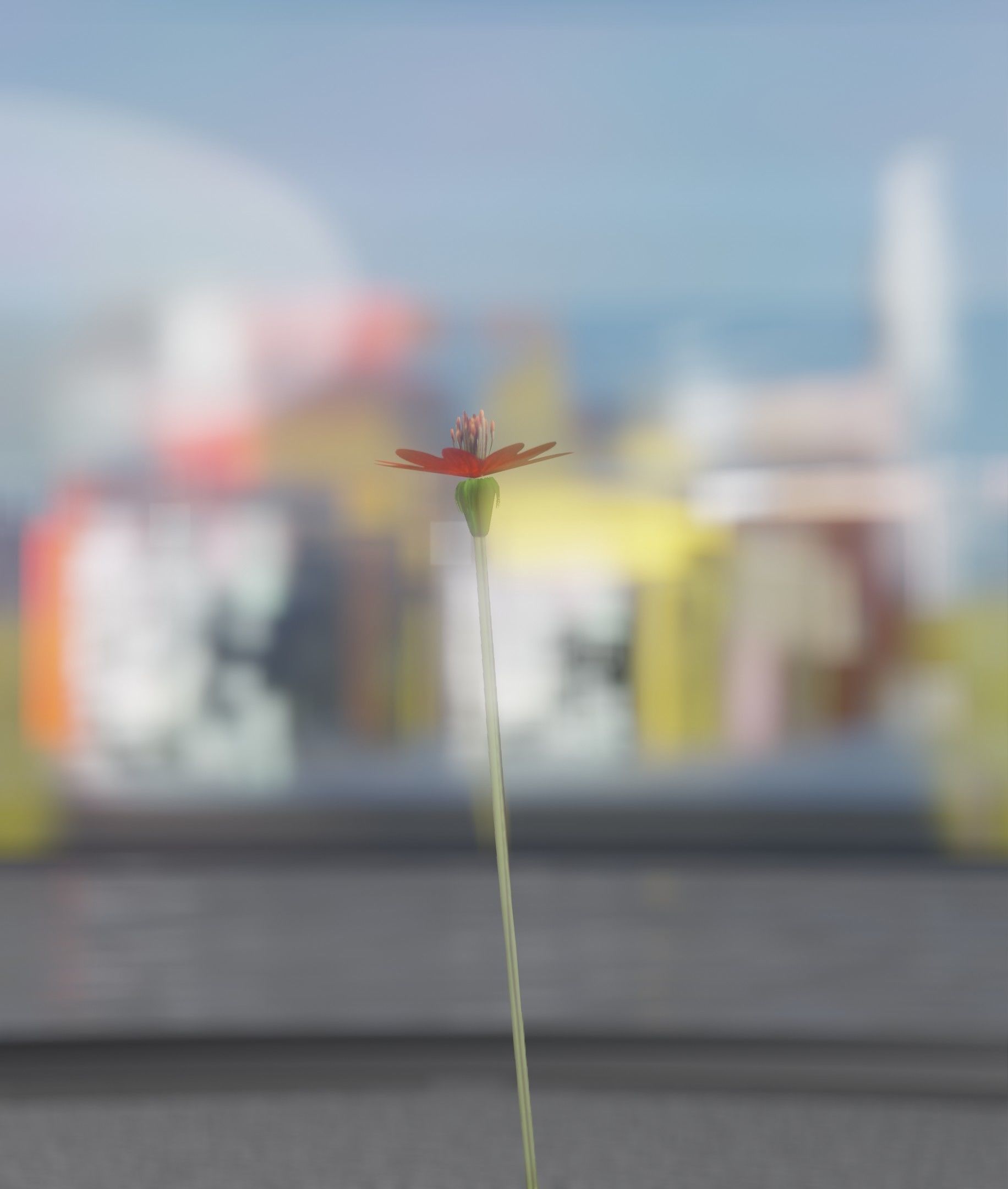 Red Flower - Verion 2 - Object 31 Low-poly 3D model_25