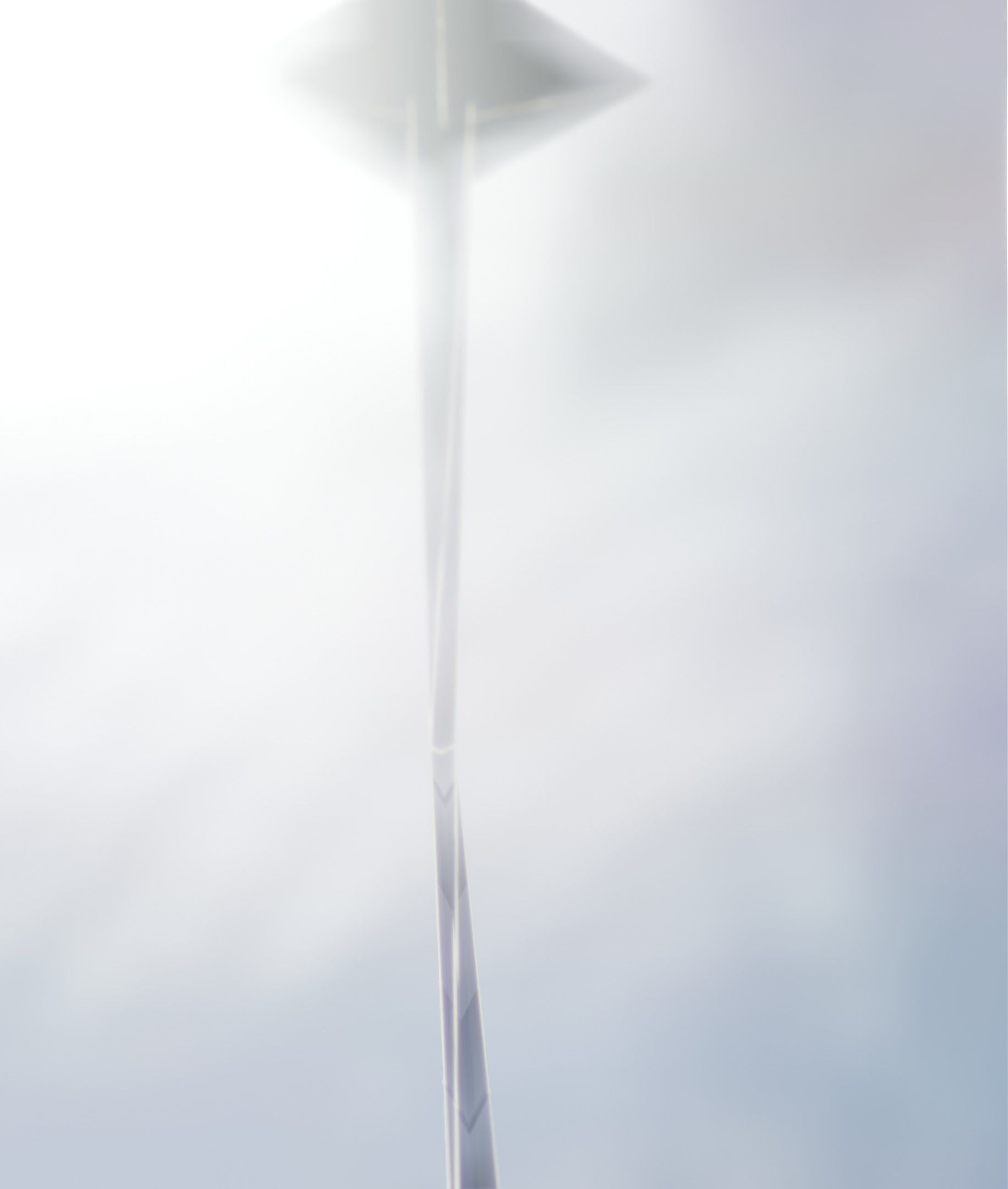 Red Flower - Verion 2 - Object 31 Low-poly 3D model_10