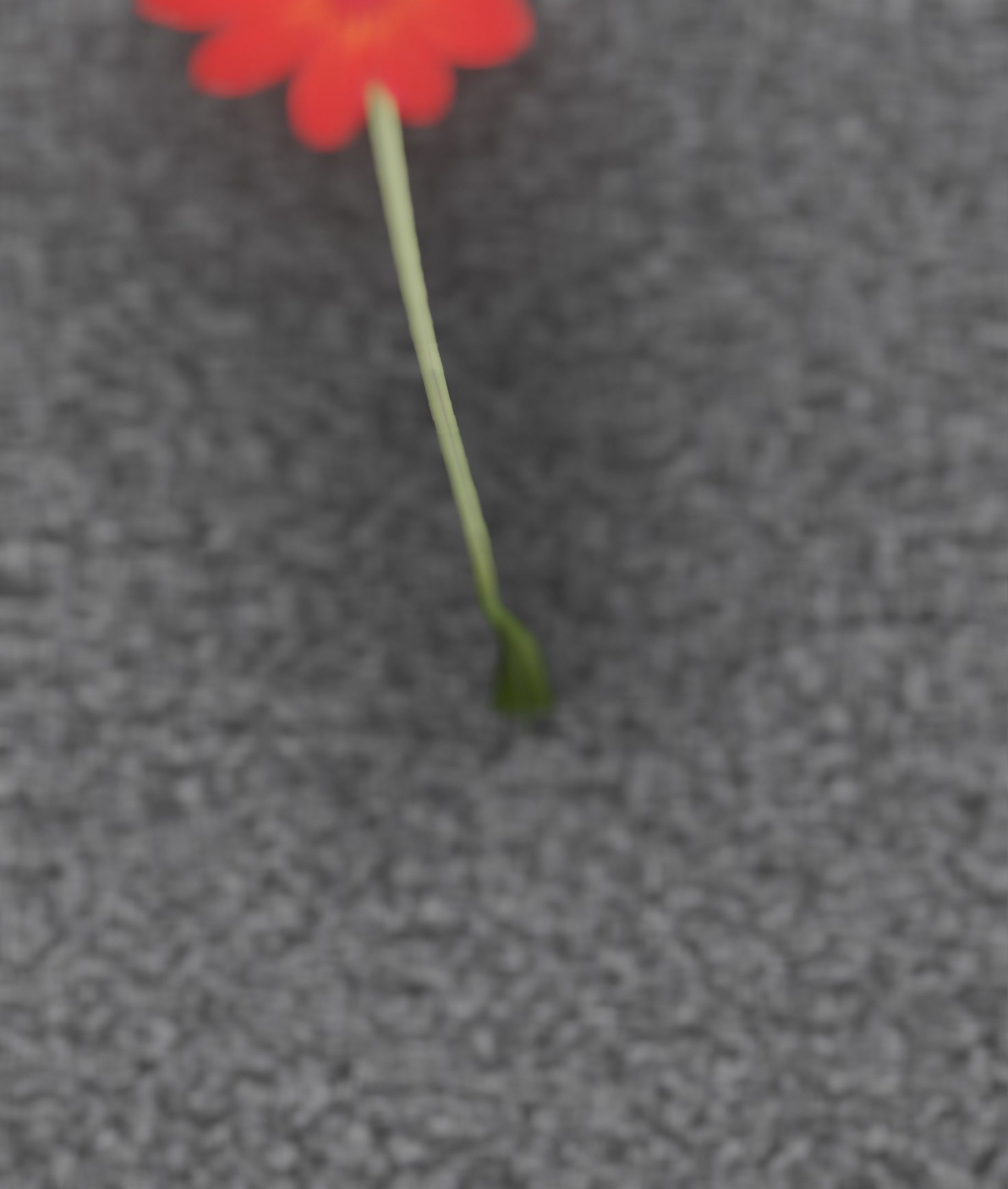 Red Flower - Verion 2 - Object 31 Low-poly 3D model_39
