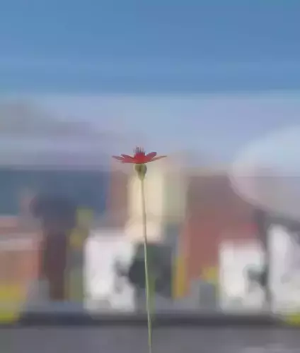 Red Flower - Verion 2 - Object 31 Low-poly 3D model Red Flower - Verion 2 - Object 31 Low-poly 3D model