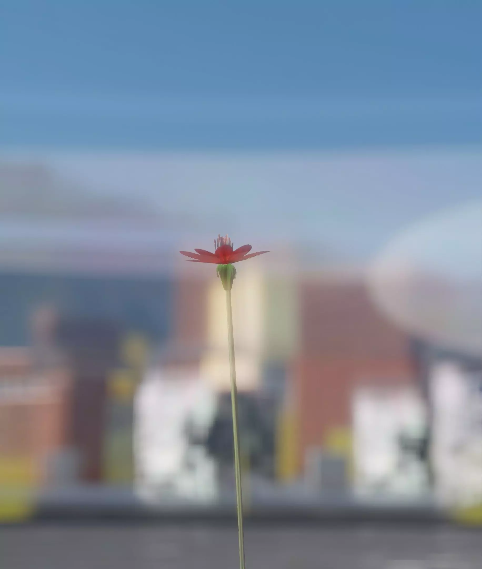 Red Flower - Verion 2 - Object 31 Low-poly 3D model_0